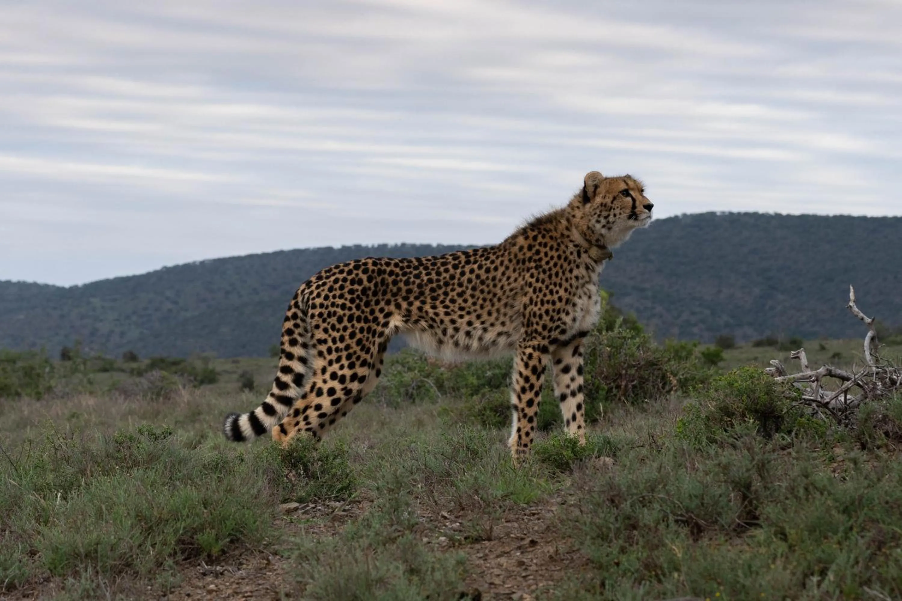 Natural landscape in Kuzuko Lodge