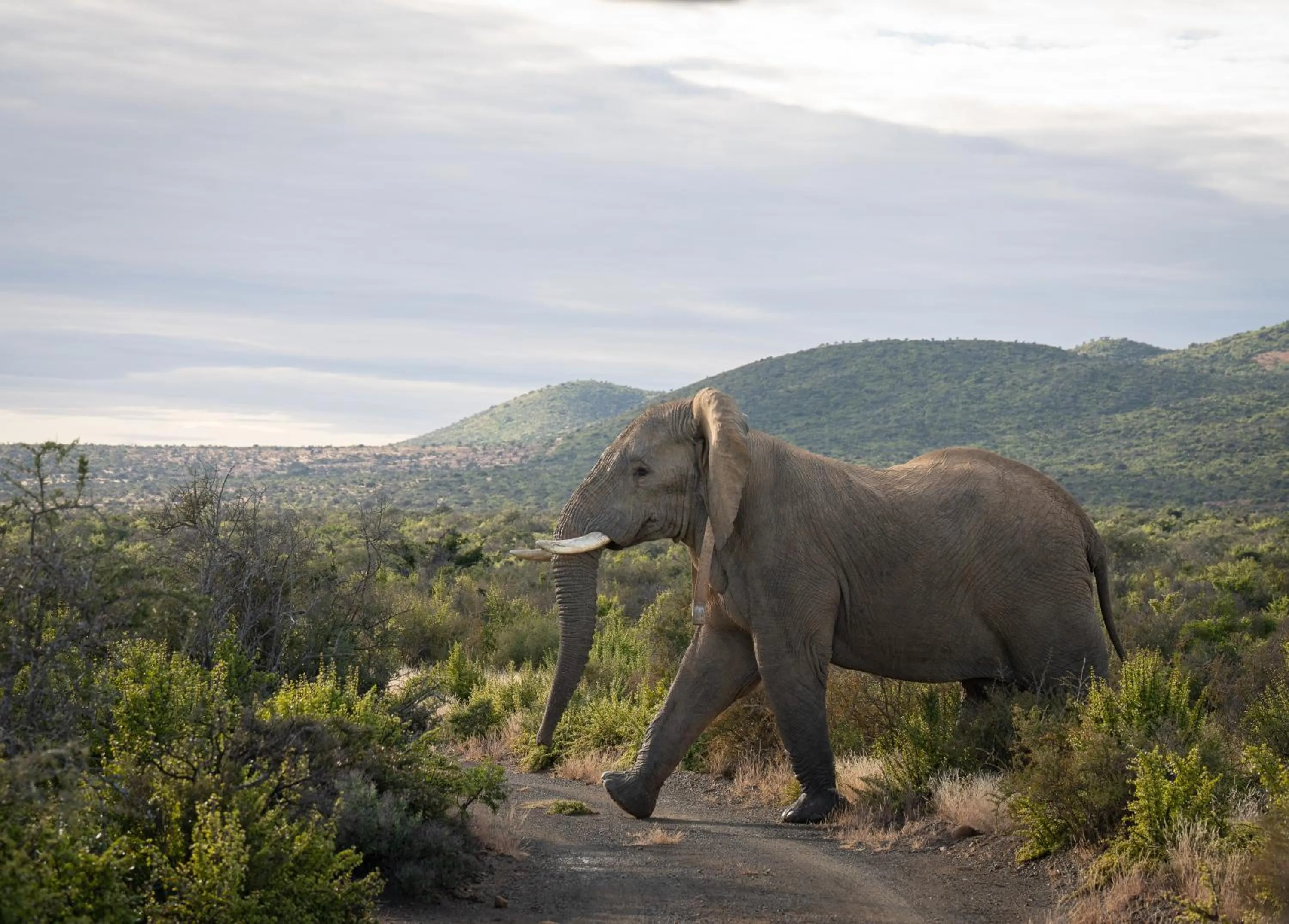 Natural landscape in Kuzuko Lodge