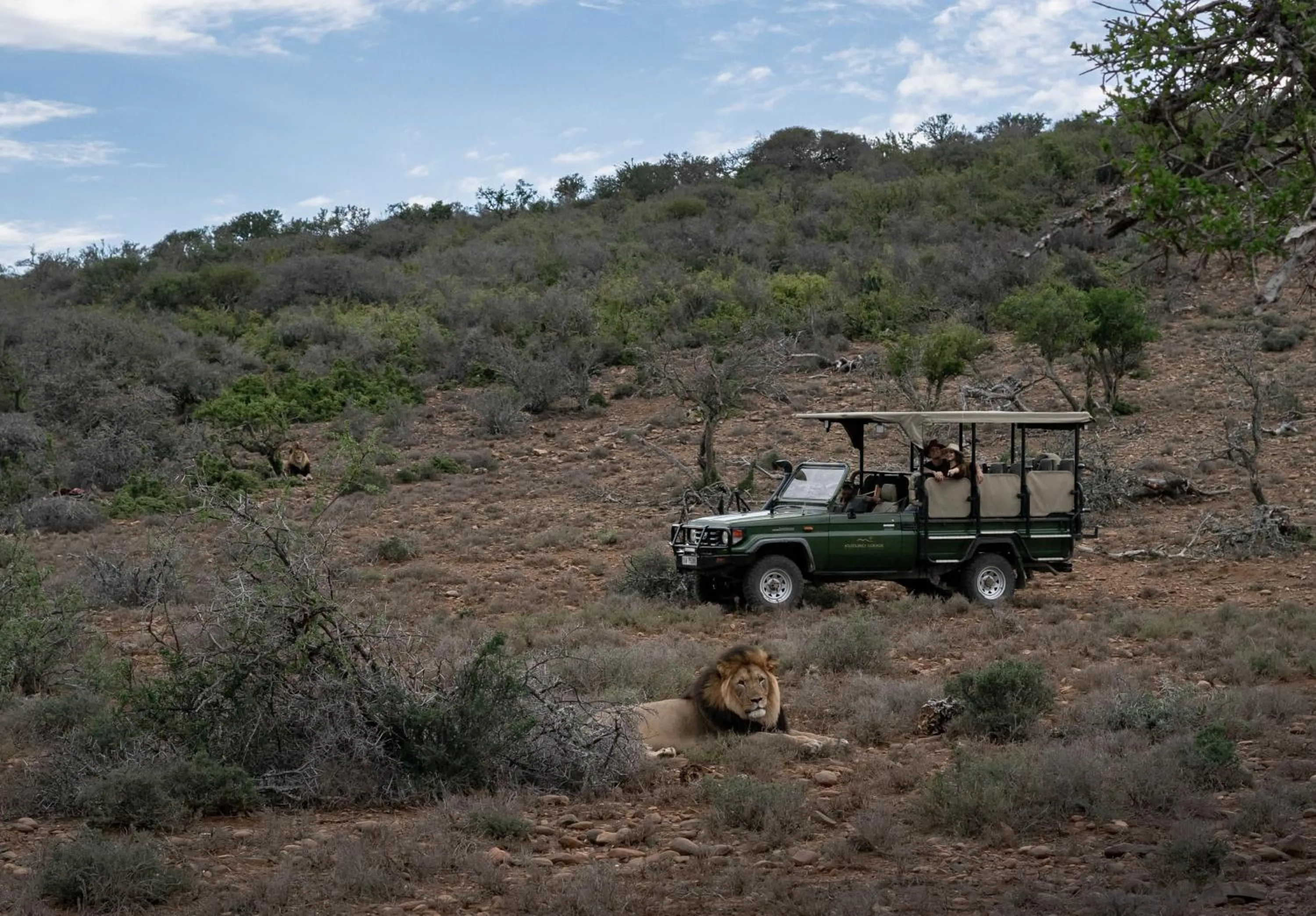 Natural landscape in Kuzuko Lodge
