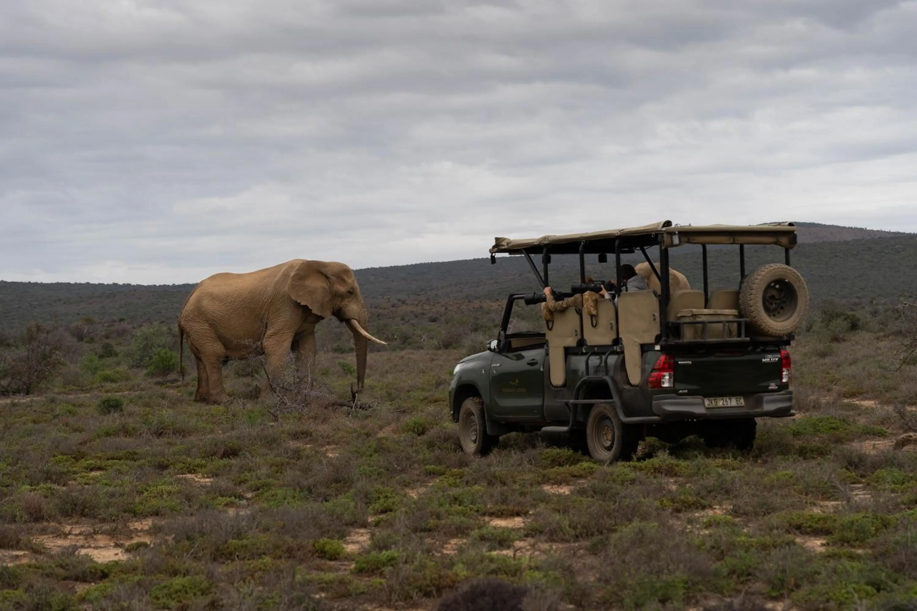 Natural landscape in Kuzuko Lodge