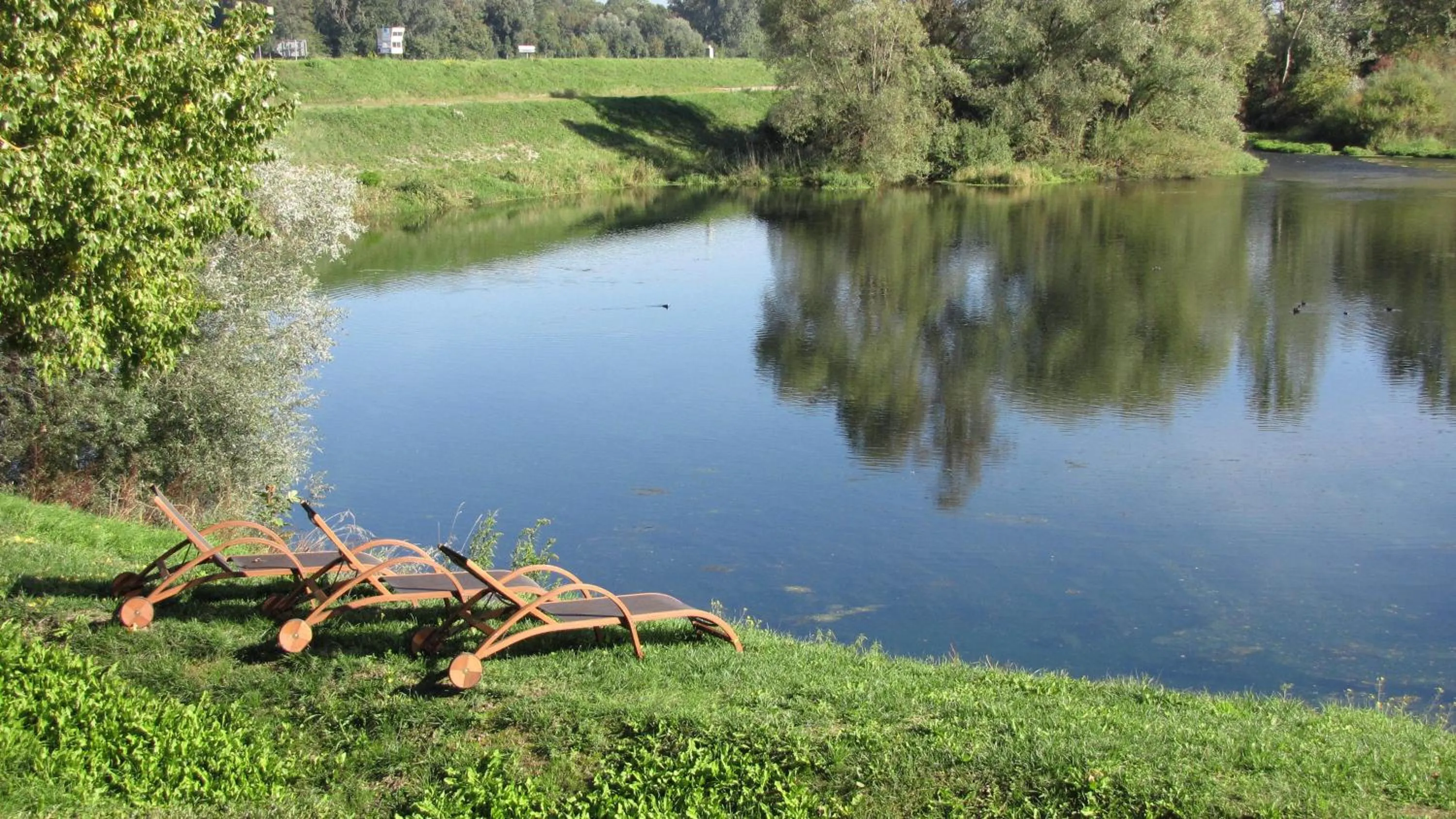 View (from property/room) in Hotel Le Caballin
