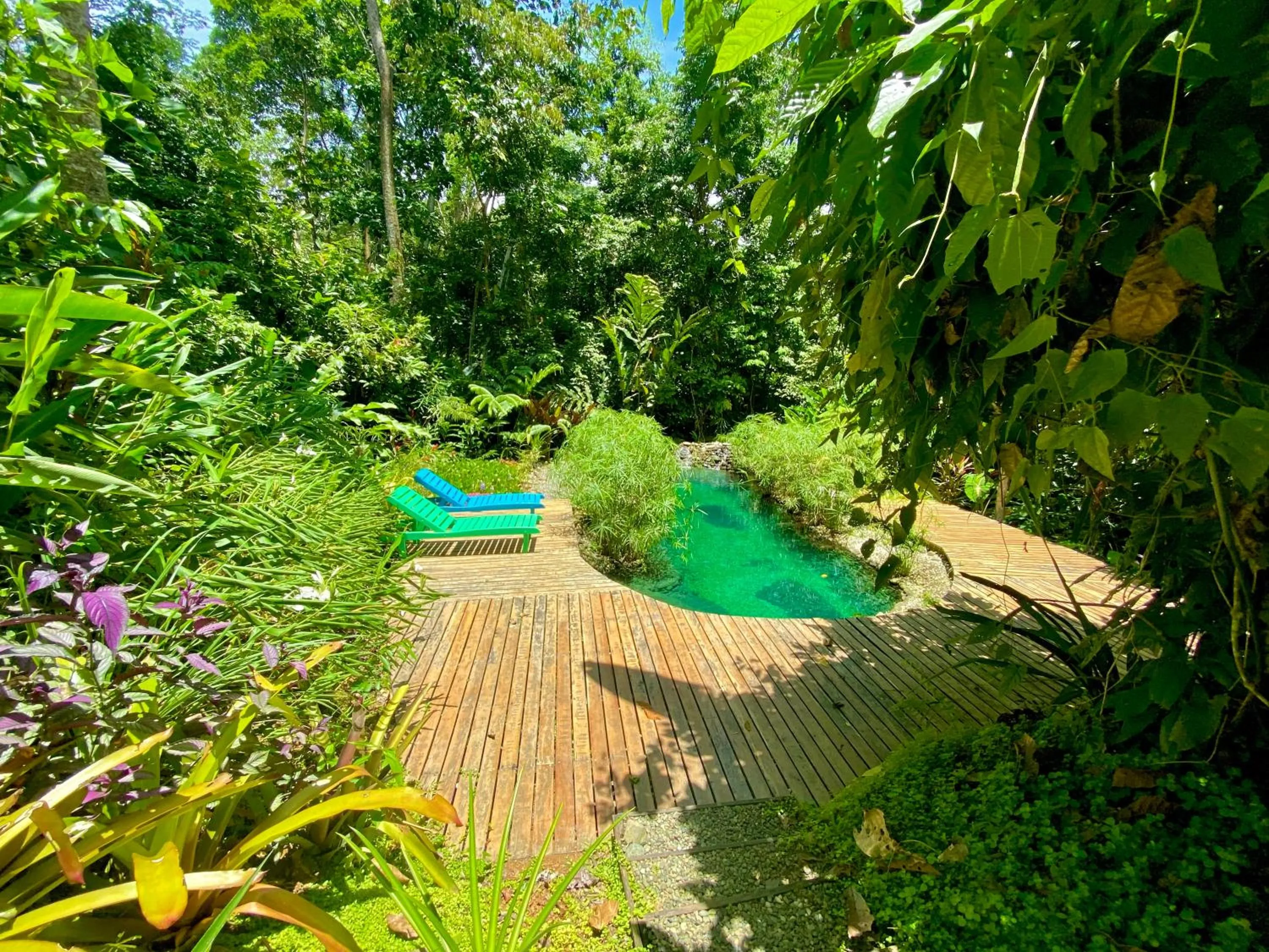 Pool view in La Shamana - Ecological Concept in Jungle