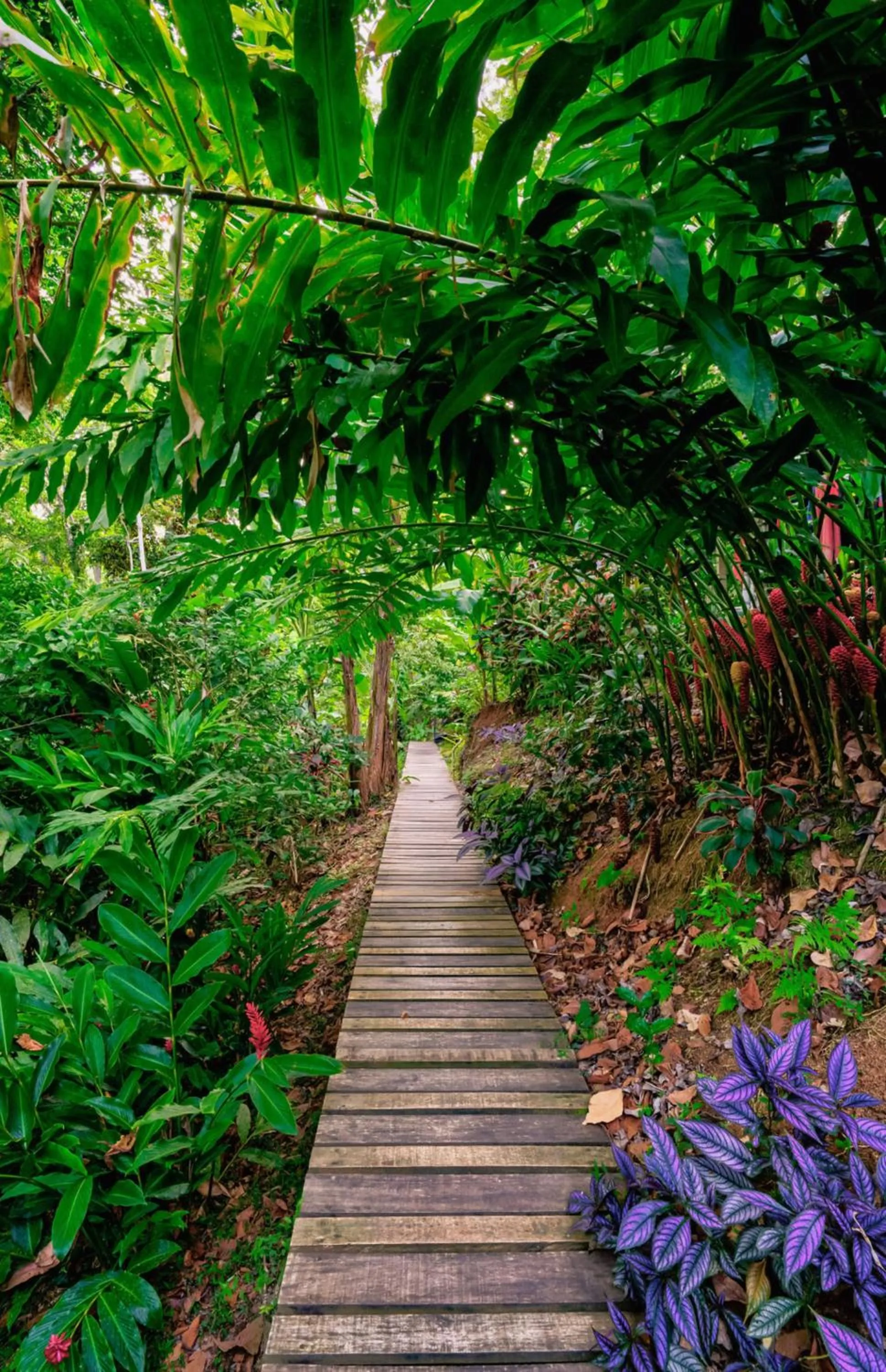 Day in La Shamana - Ecological Concept in Jungle