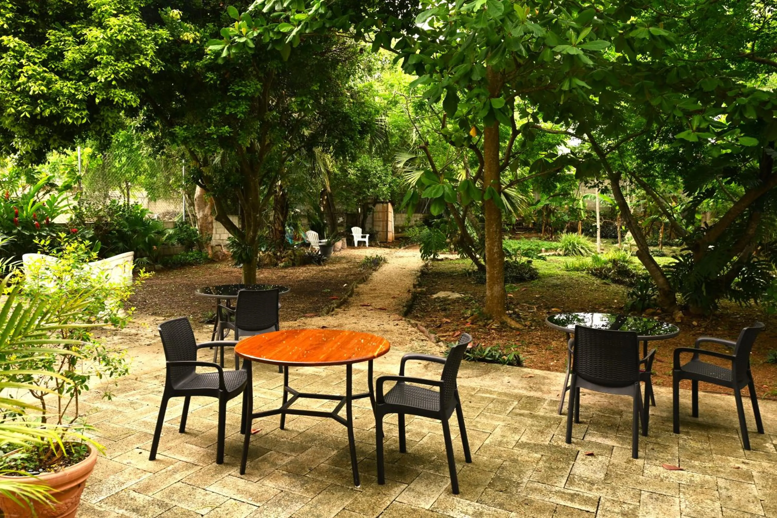 Garden view in Gran Jaguar Hotel