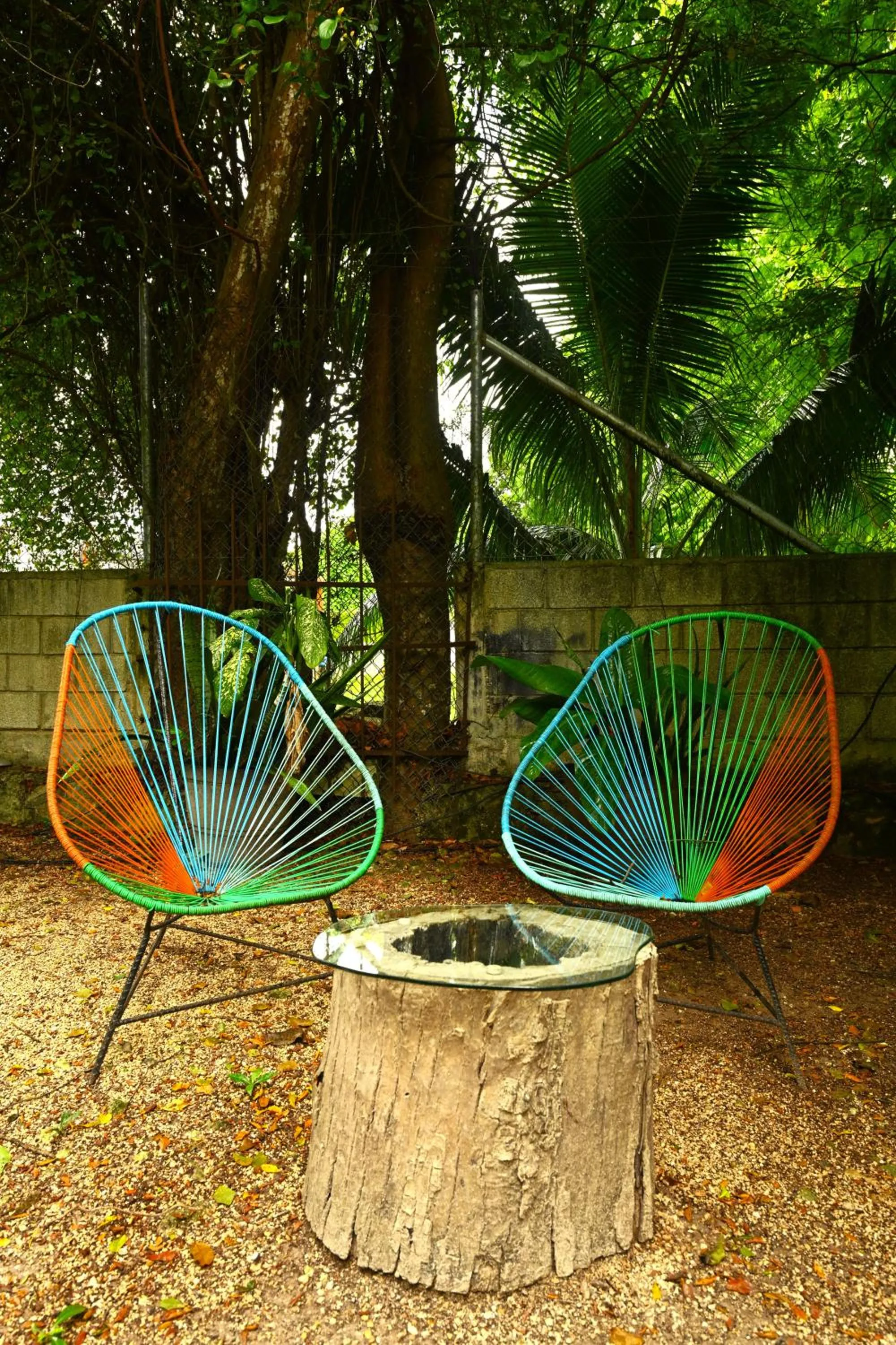 Garden in Gran Jaguar Hotel