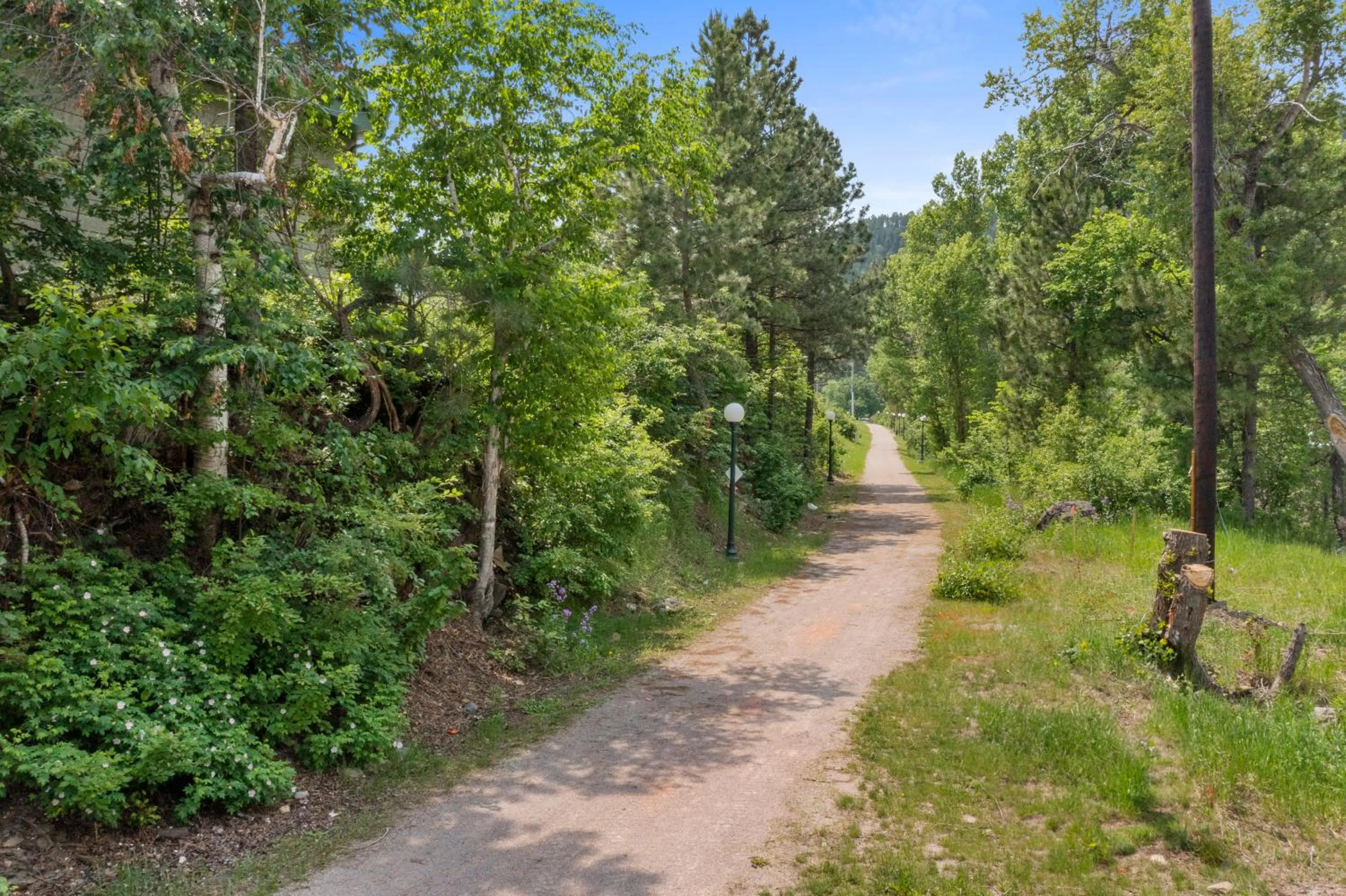 Area and facilities in Deadwood Gulch Resort, Trademark Collection by Wyndham