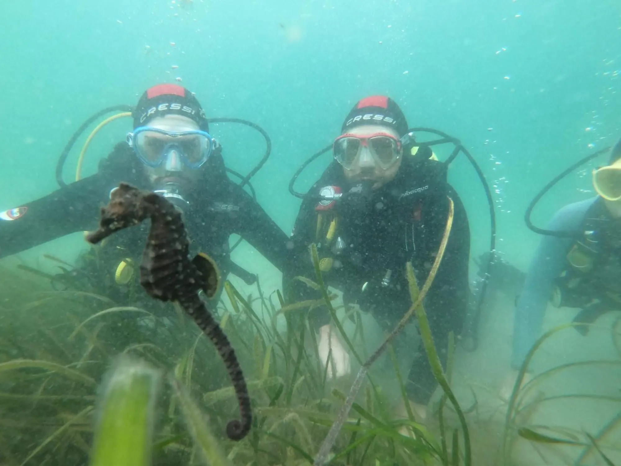 Diving in Apartamentos Ria de Aldan