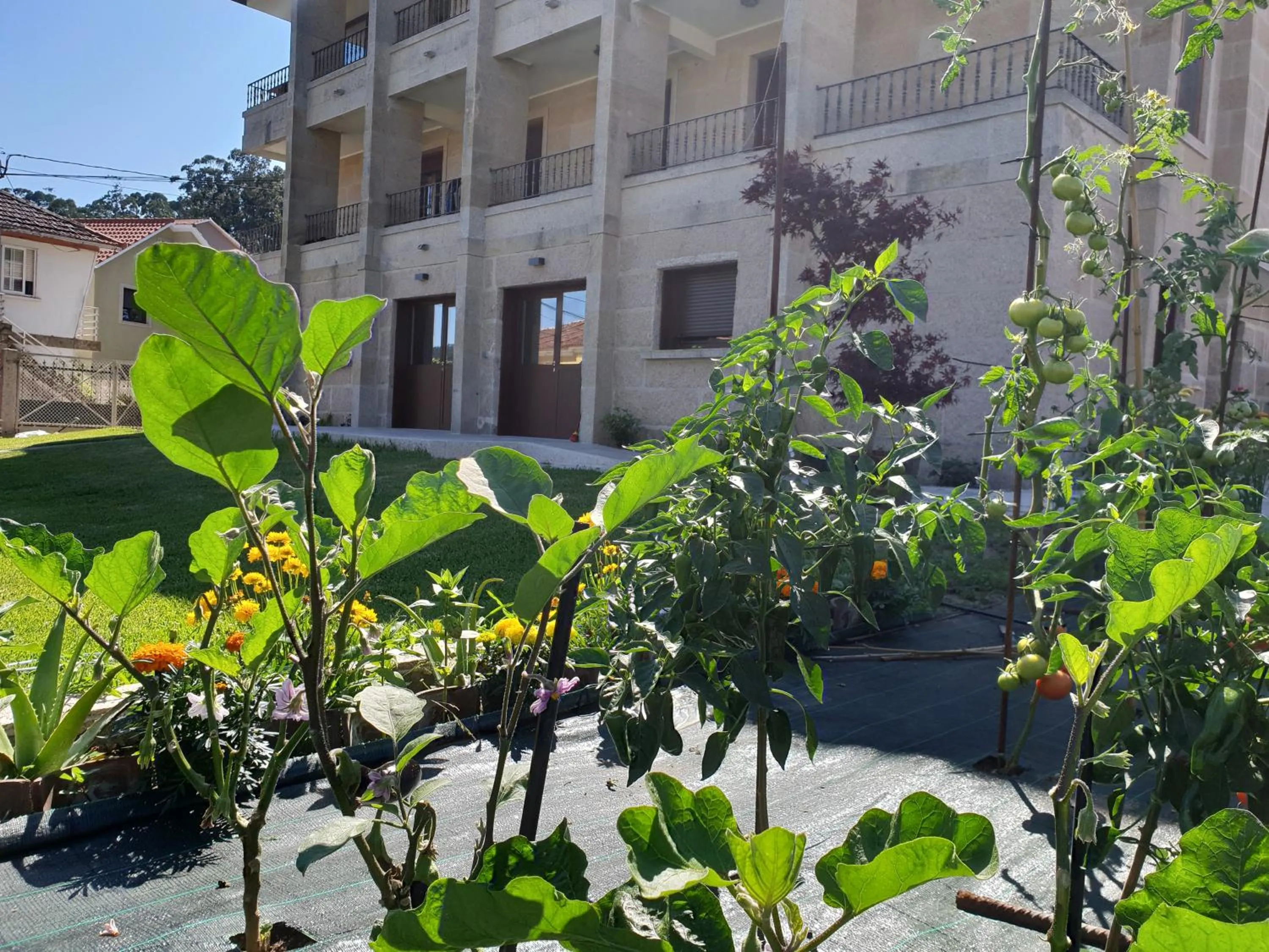 Garden in Apartamentos Ria de Aldan