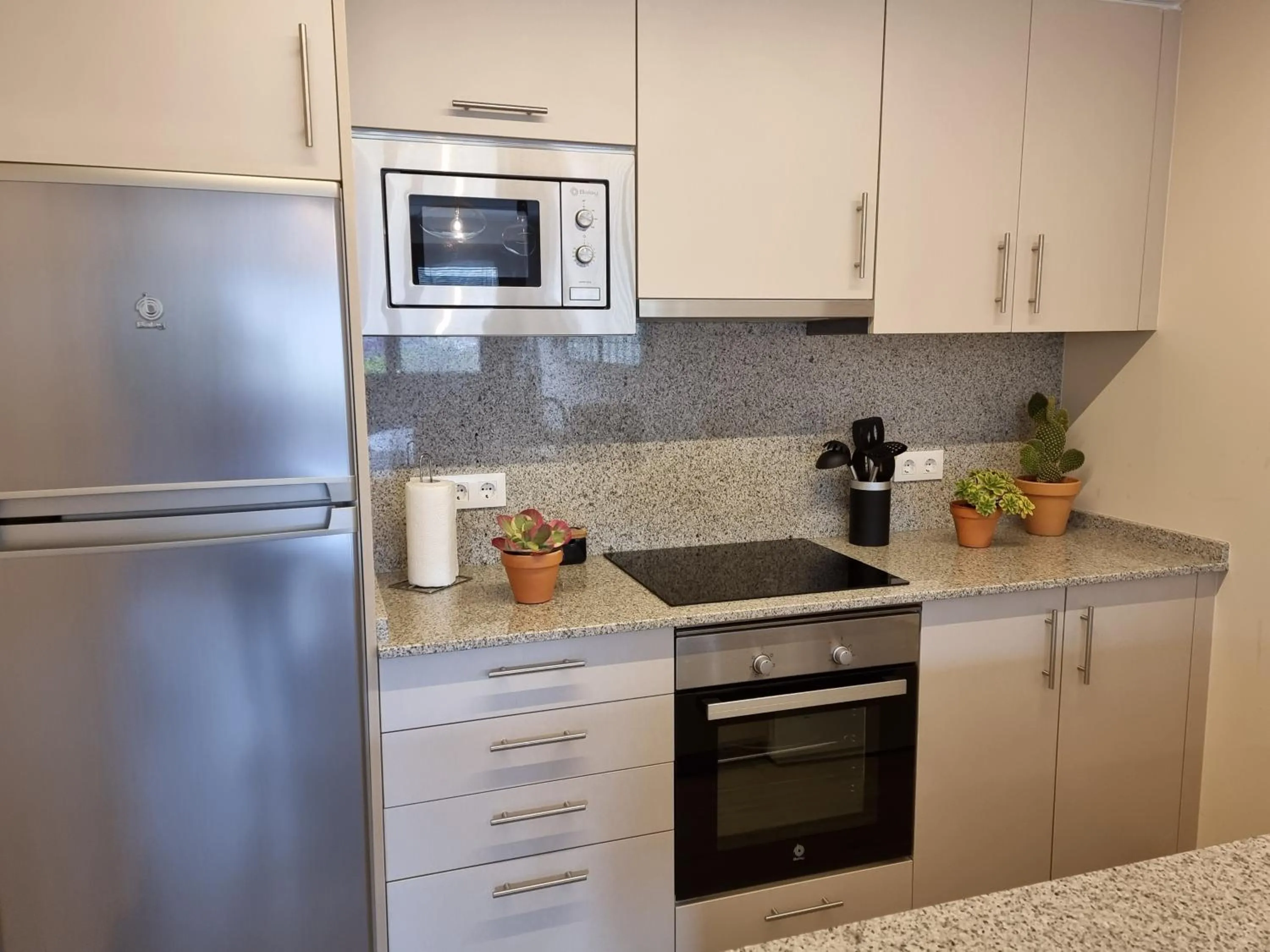 kitchen in Apartamentos Ria de Aldan