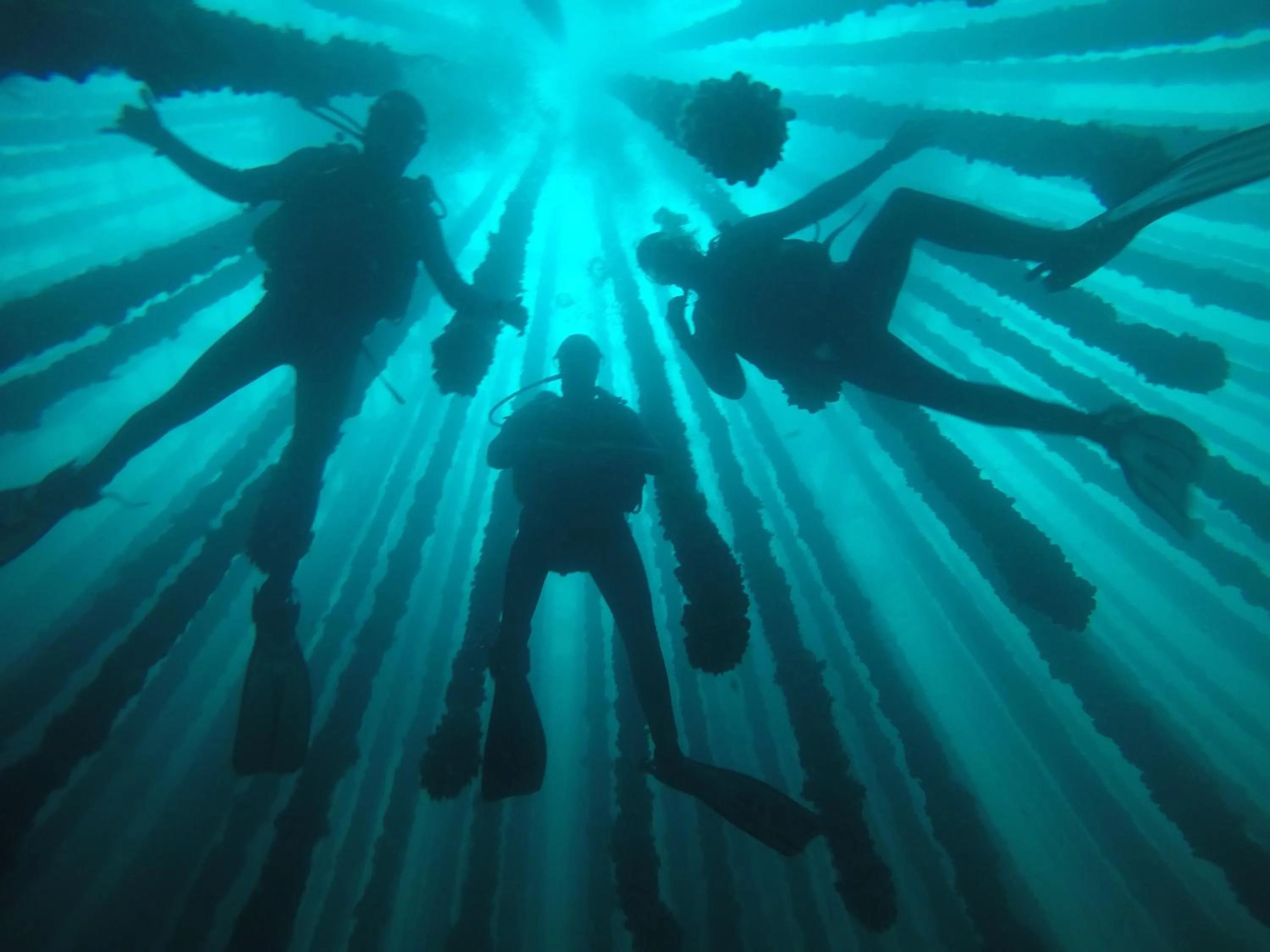 Diving in Apartamentos Ria de Aldan