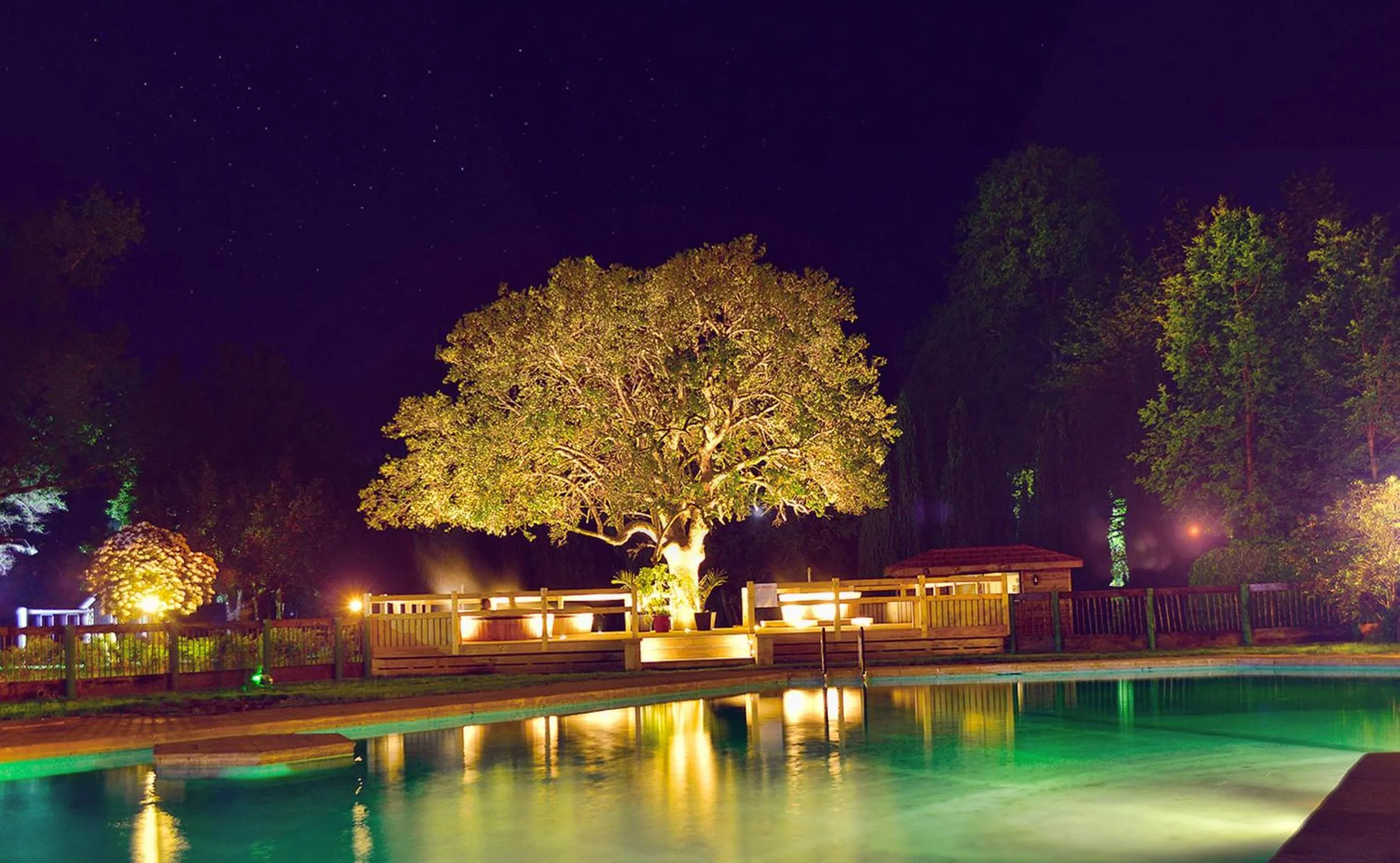 View (from property/room) in Hotel Pucon Green Park