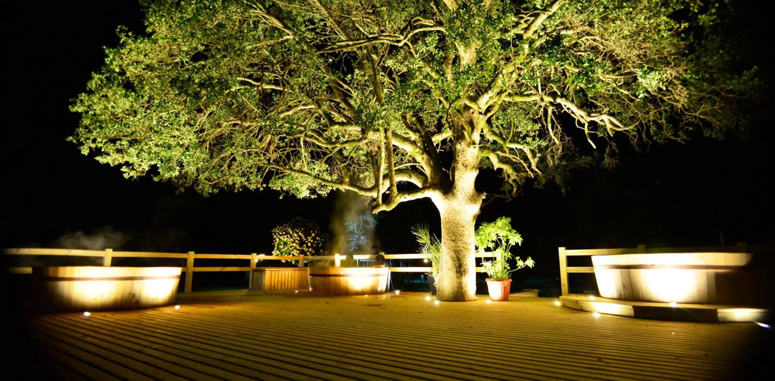 View (from property/room) in Hotel Pucon Green Park