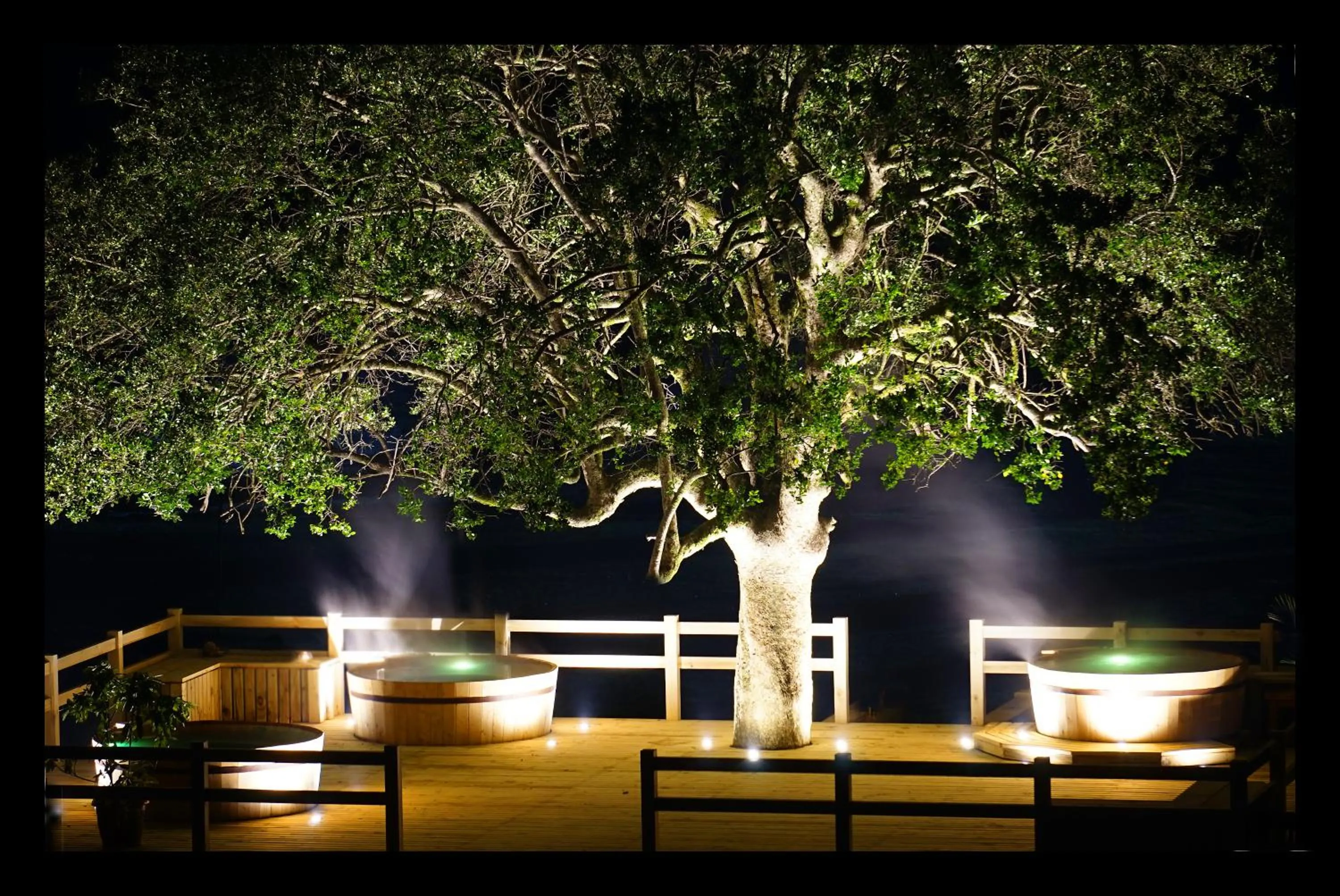 Night in Hotel Pucon Green Park