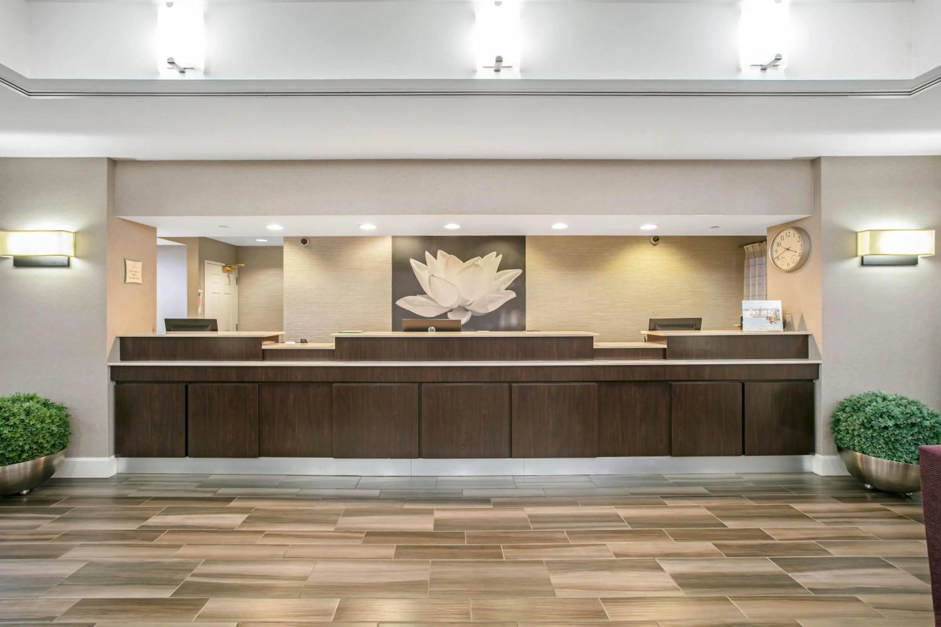 Lobby or reception in La Quinta by Wyndham DFW Airport South / Irving
