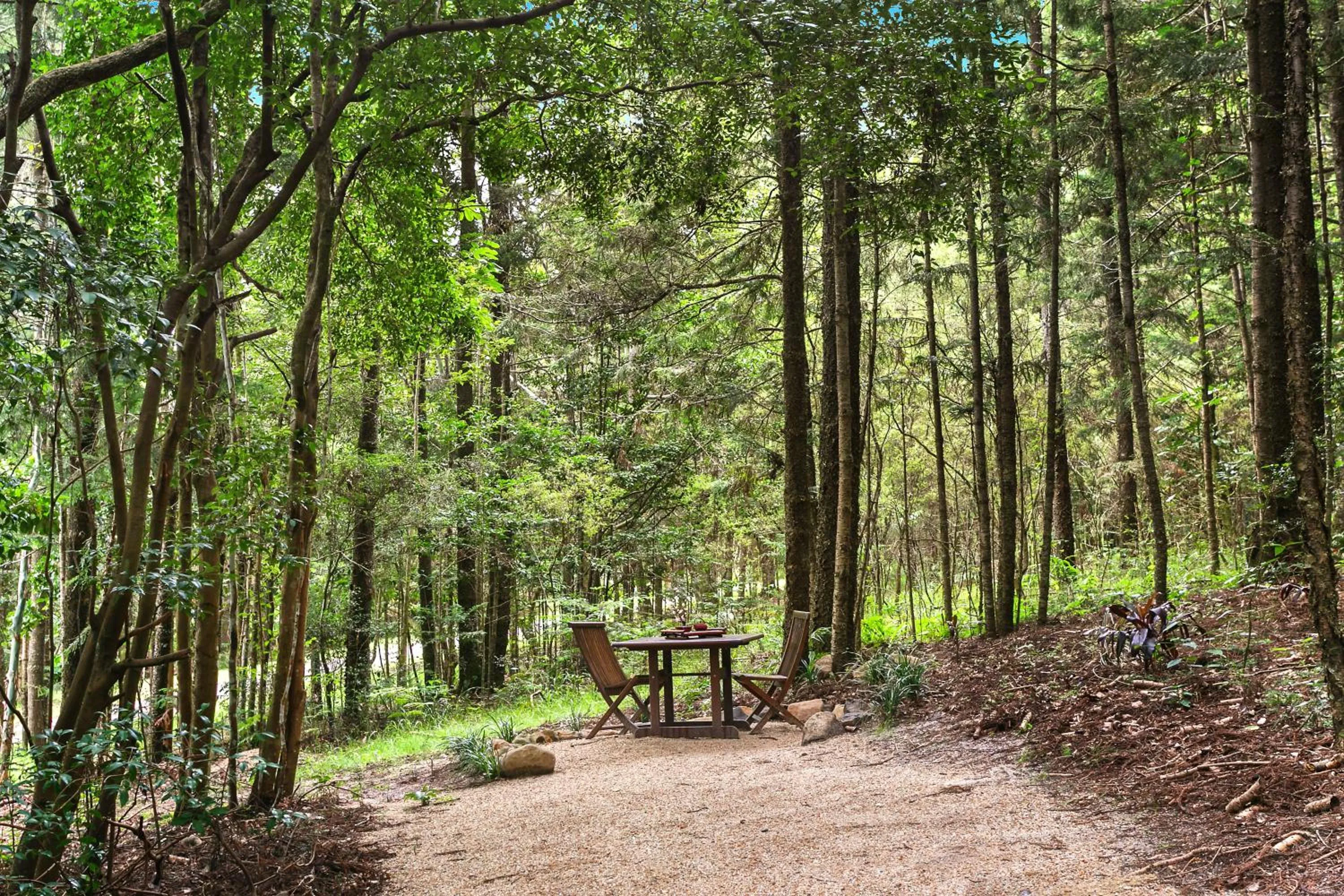 Patio in Azabu Retreat