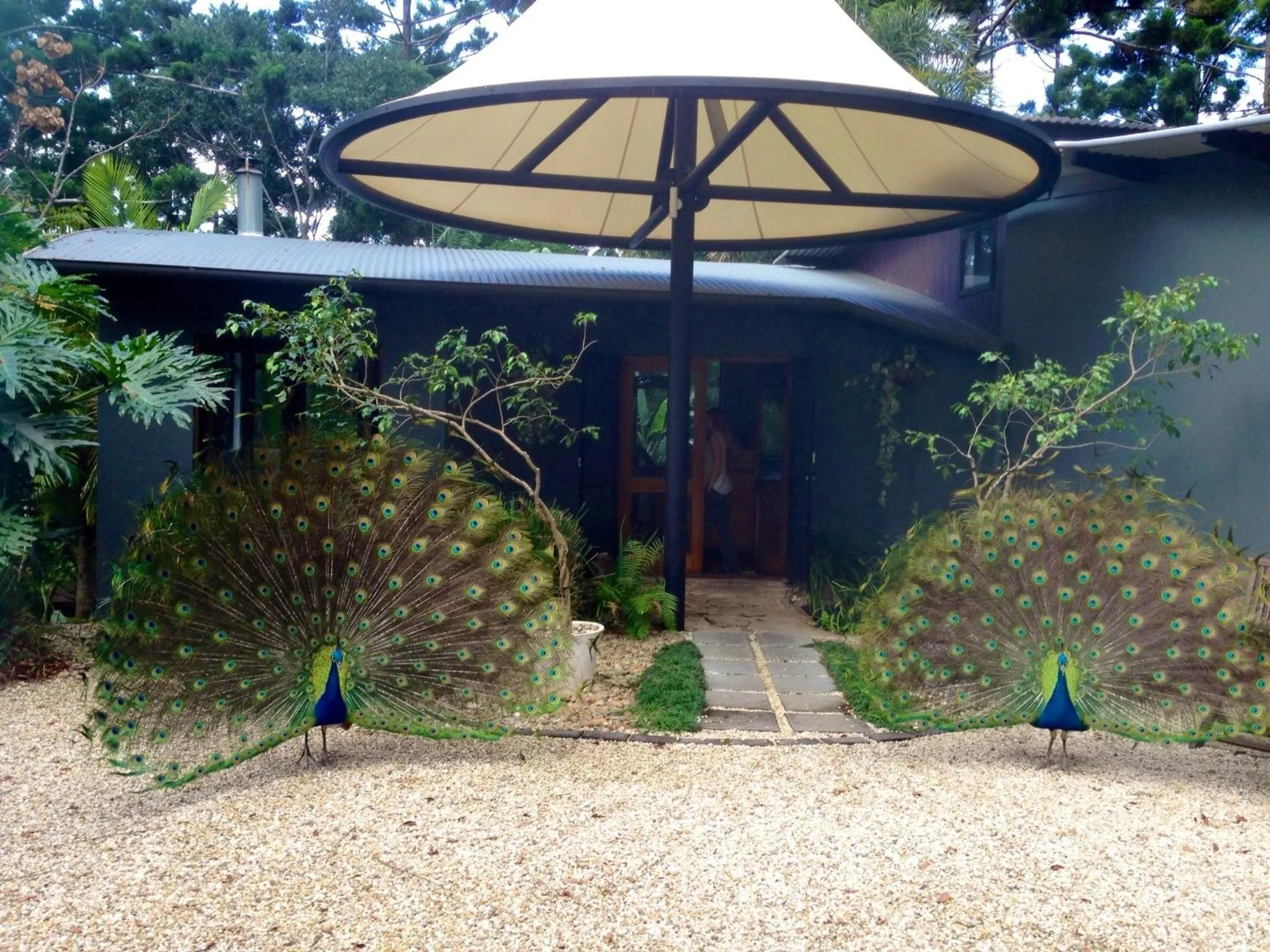 Facade/entrance in Azabu Retreat