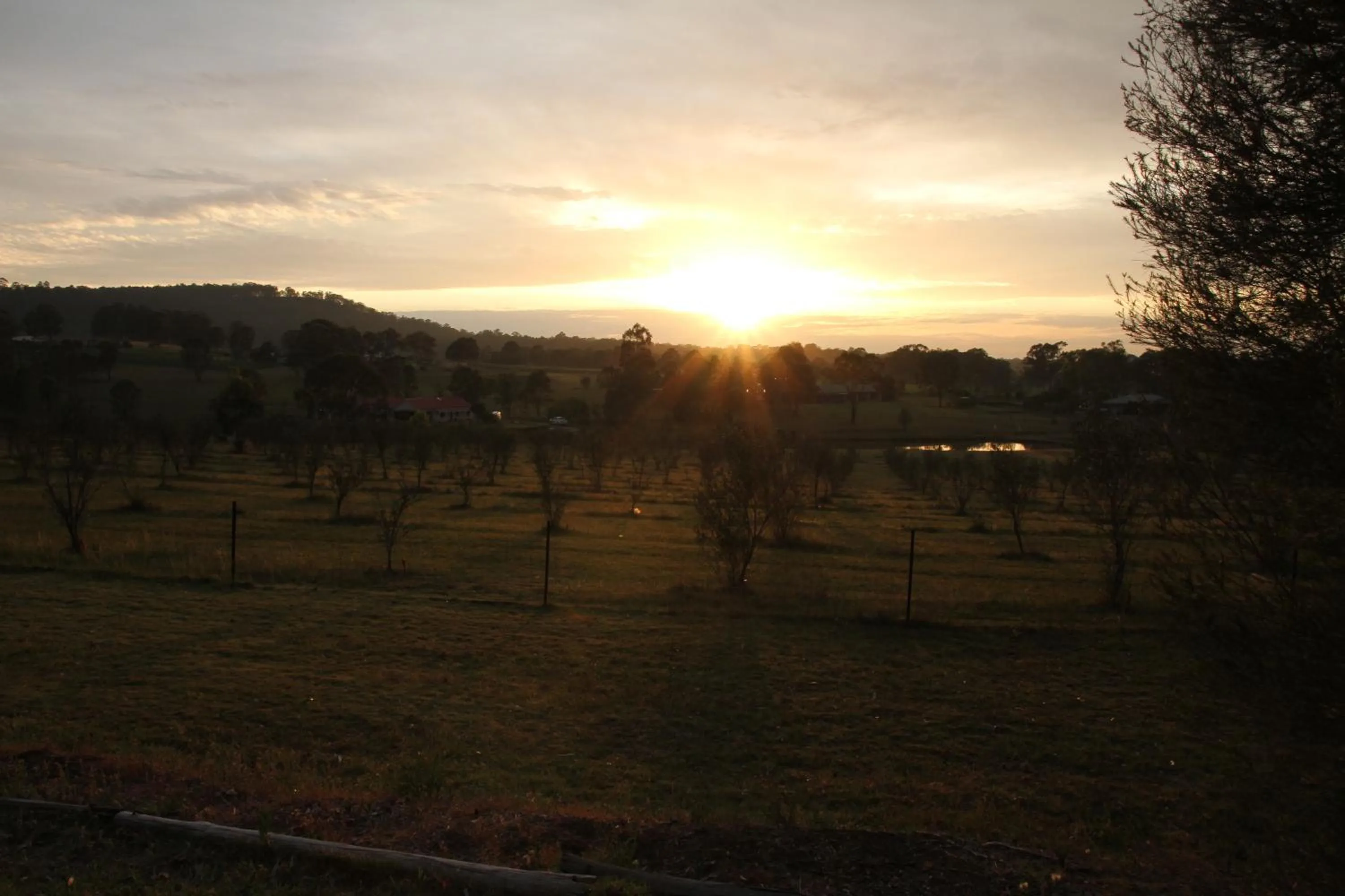 Garden view in Hunter Homestead, Lovedale