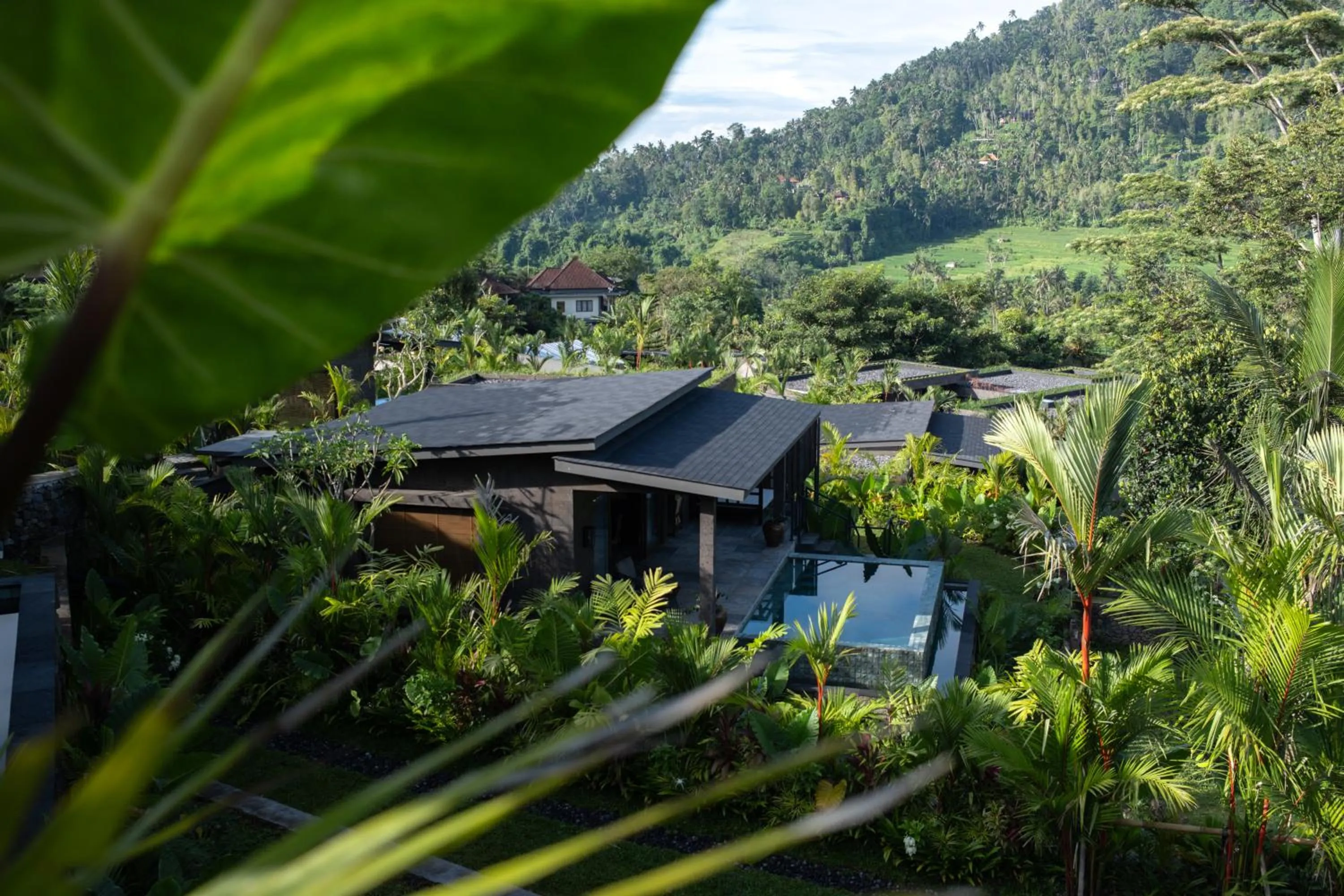 Property building in Samanvaya - Adults Only