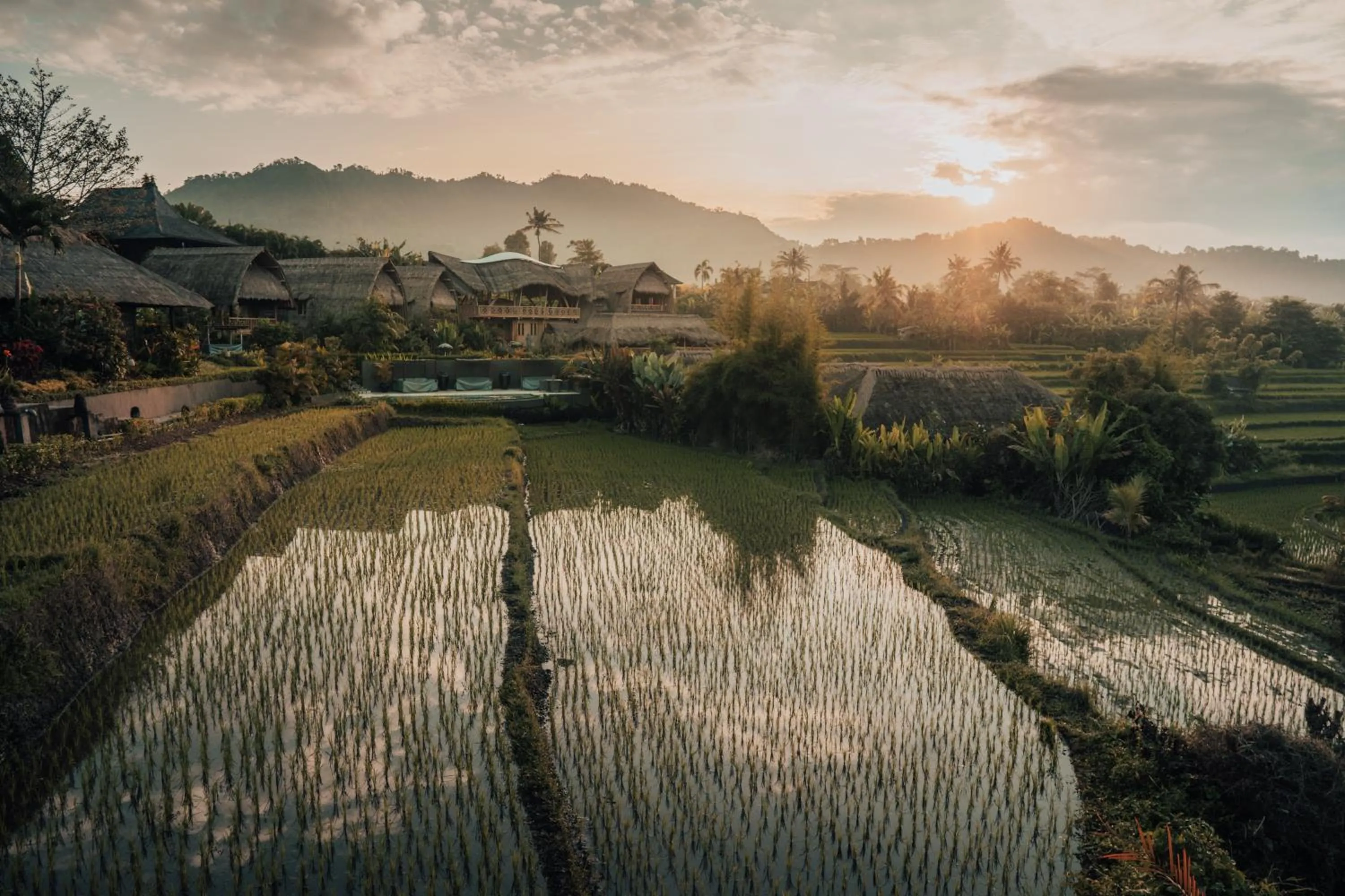 View (from property/room) in Samanvaya - Adults Only