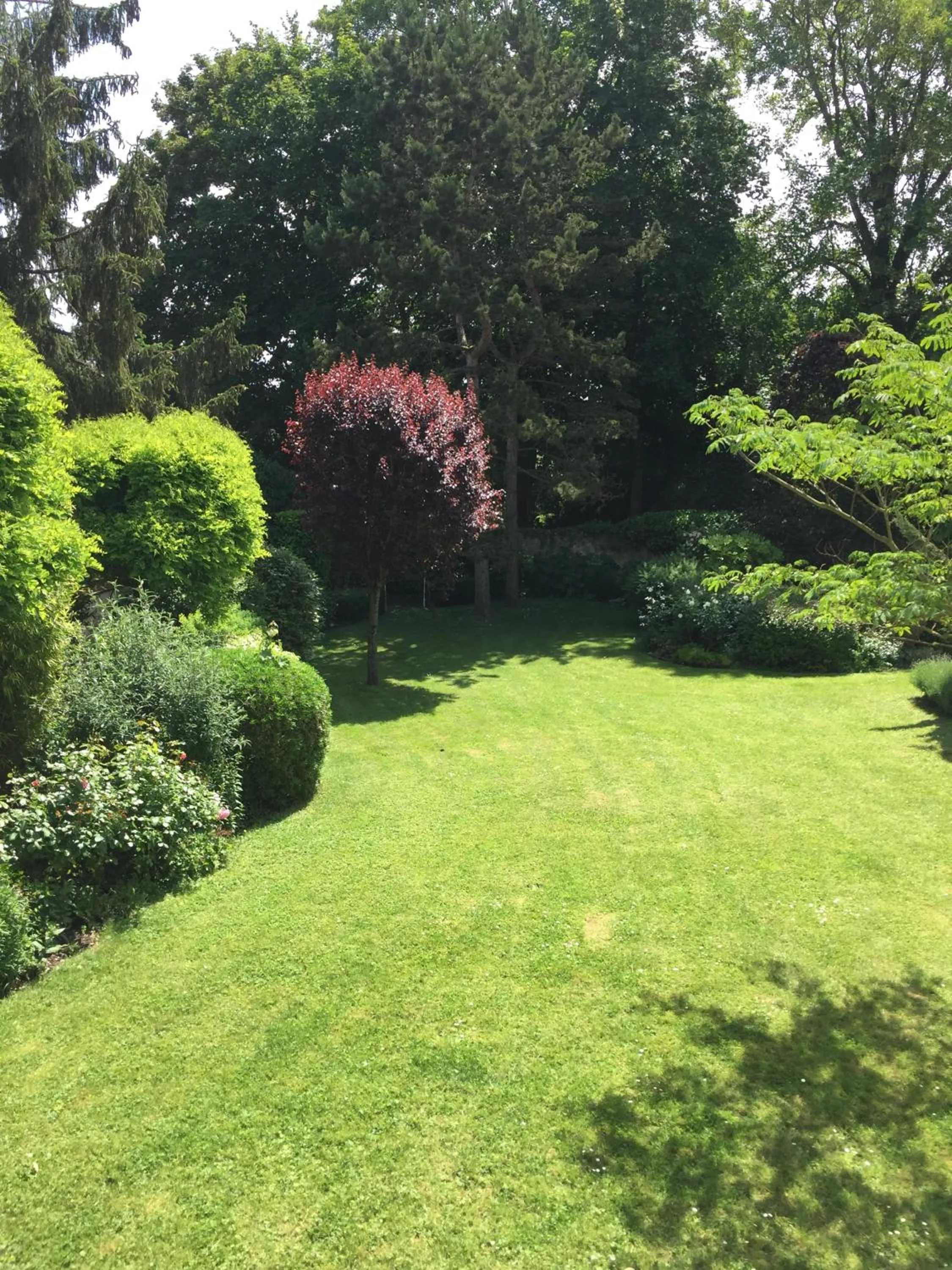 Garden in Maison d'Hôtes Joussaume Latour