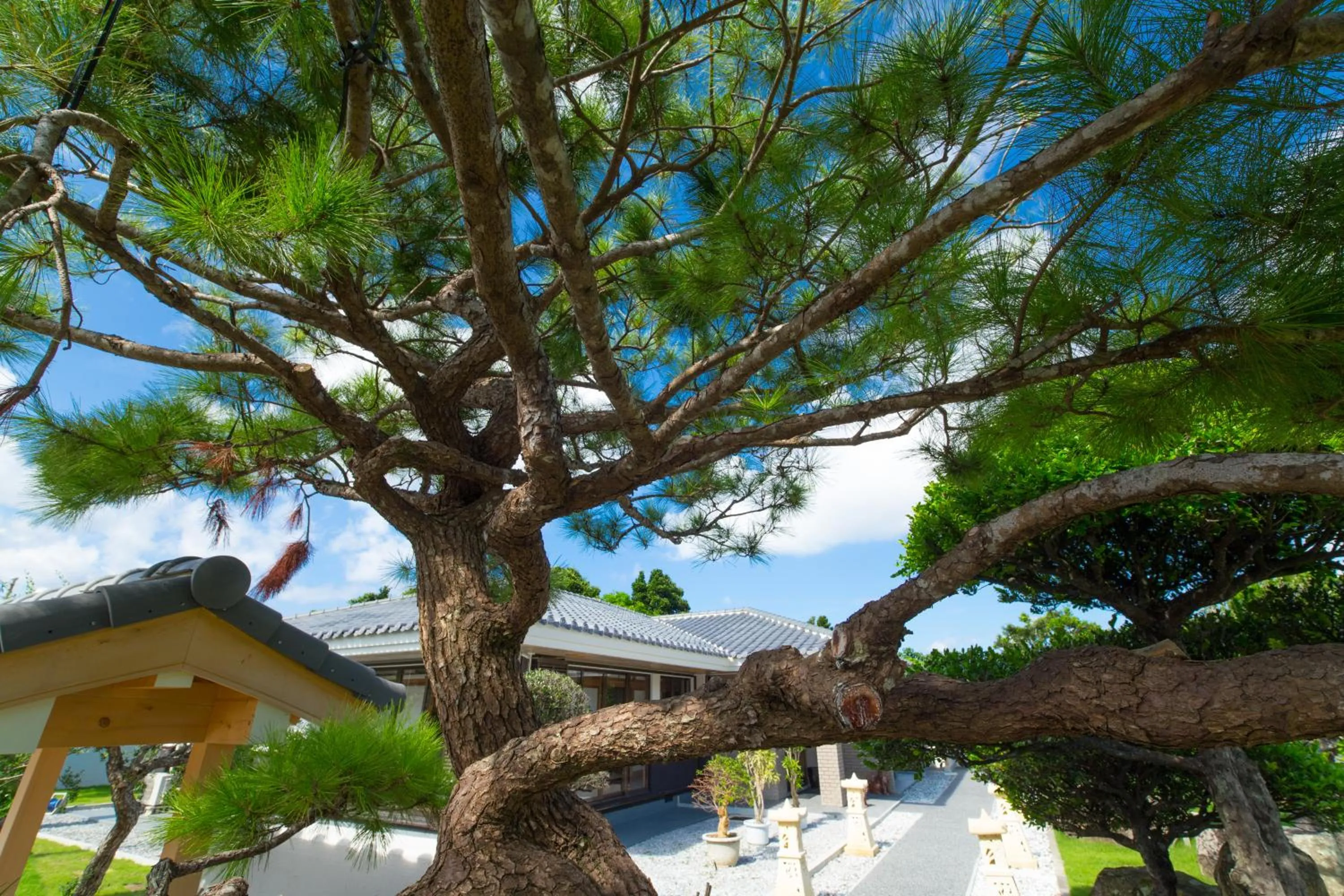 Garden in Sanshoen Kabira