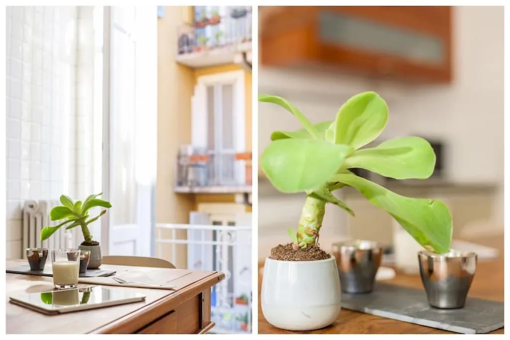 Moscova Flexyrent Apartment