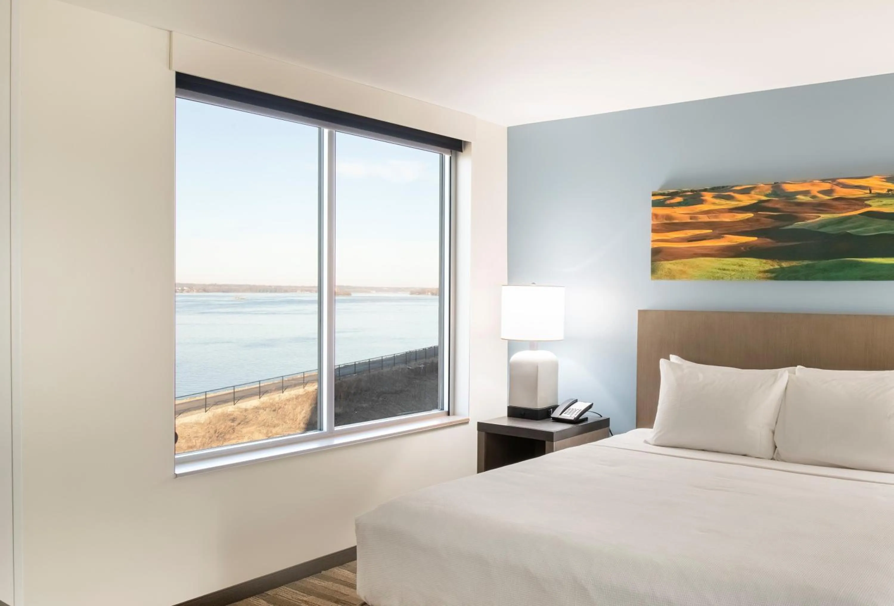 King Studio with Sofa Bed, Kitchen and River View in Hyatt House East Moline/Quad Cities