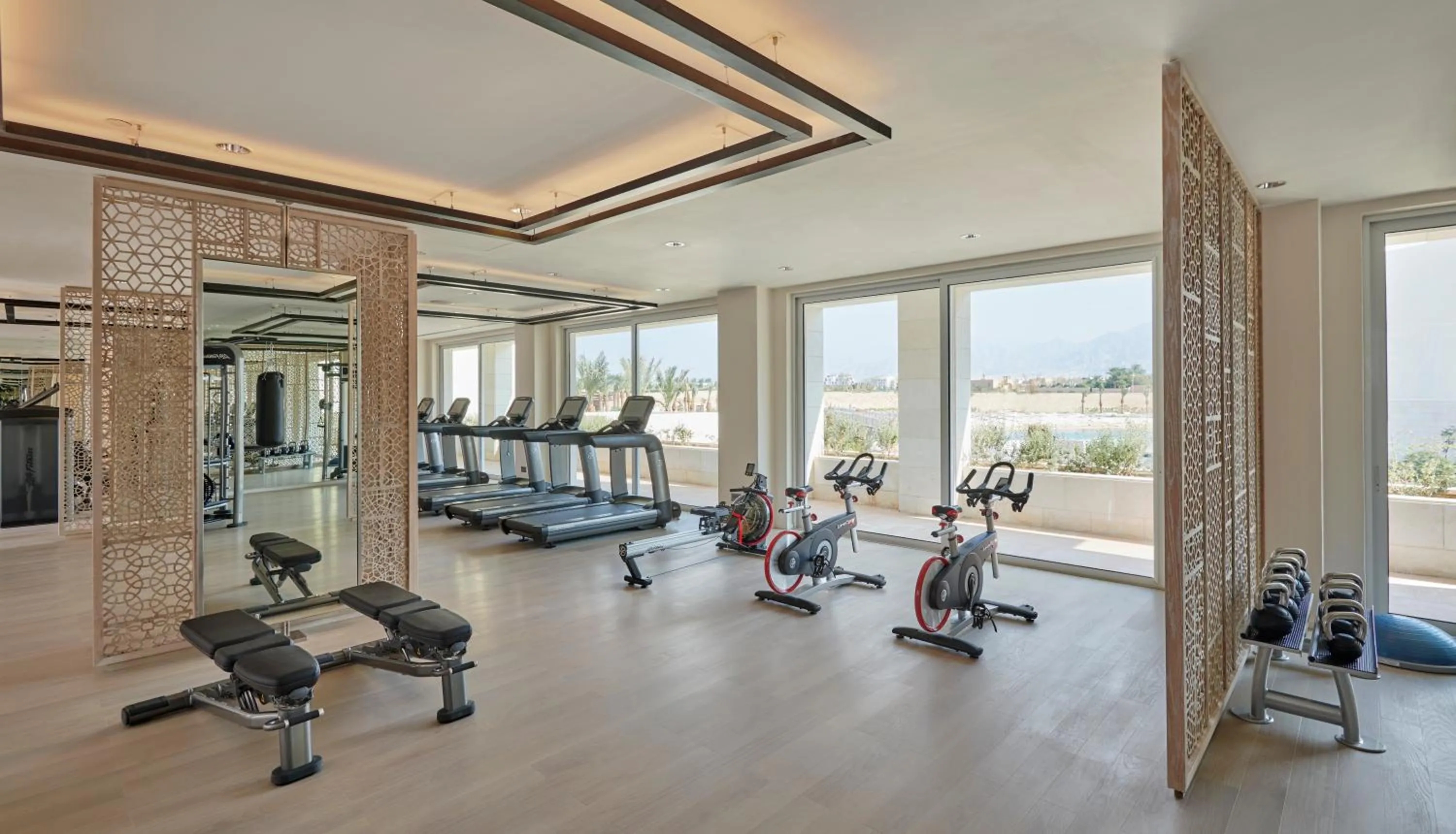 Fitness centre/facilities in Hyatt Regency Aqaba Ayla Resort