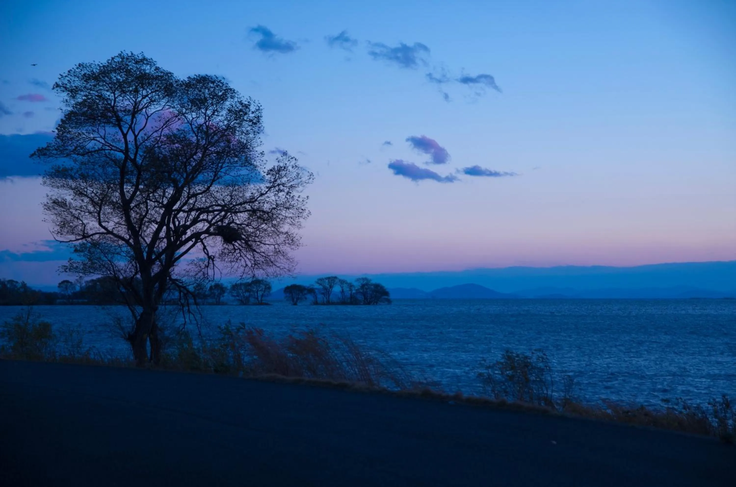Lake view in Ryokan Beniayu