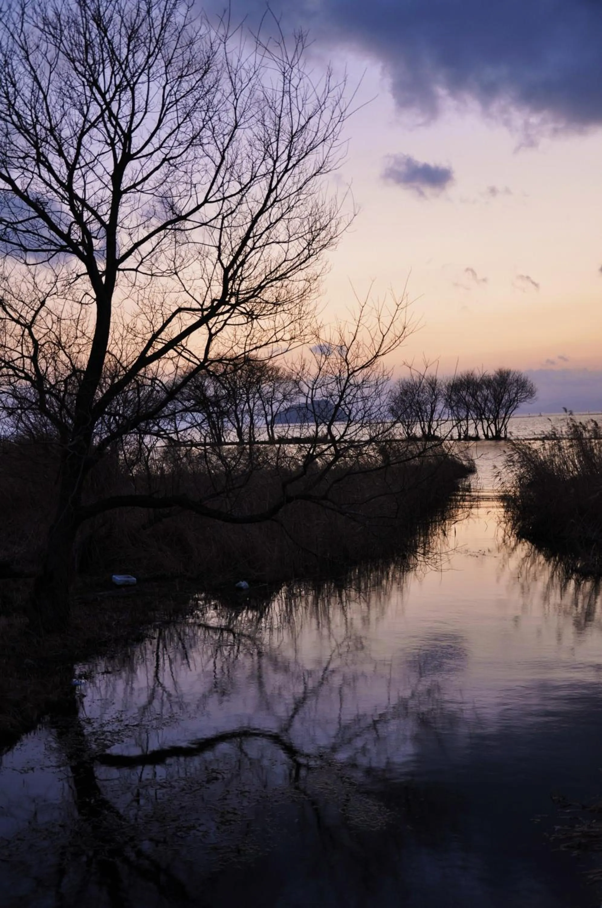 View (from property/room) in Ryokan Beniayu