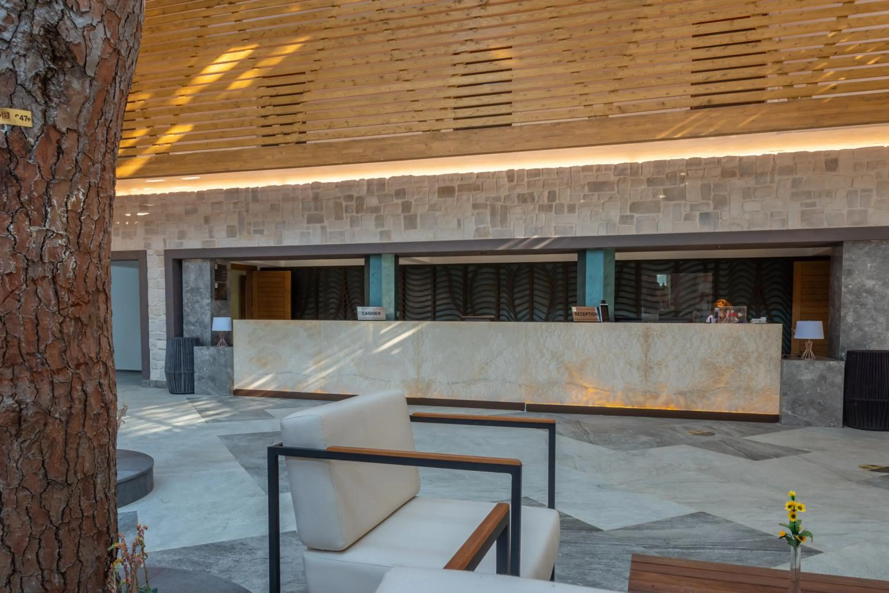 Lobby or reception in Baia Salima Kemer