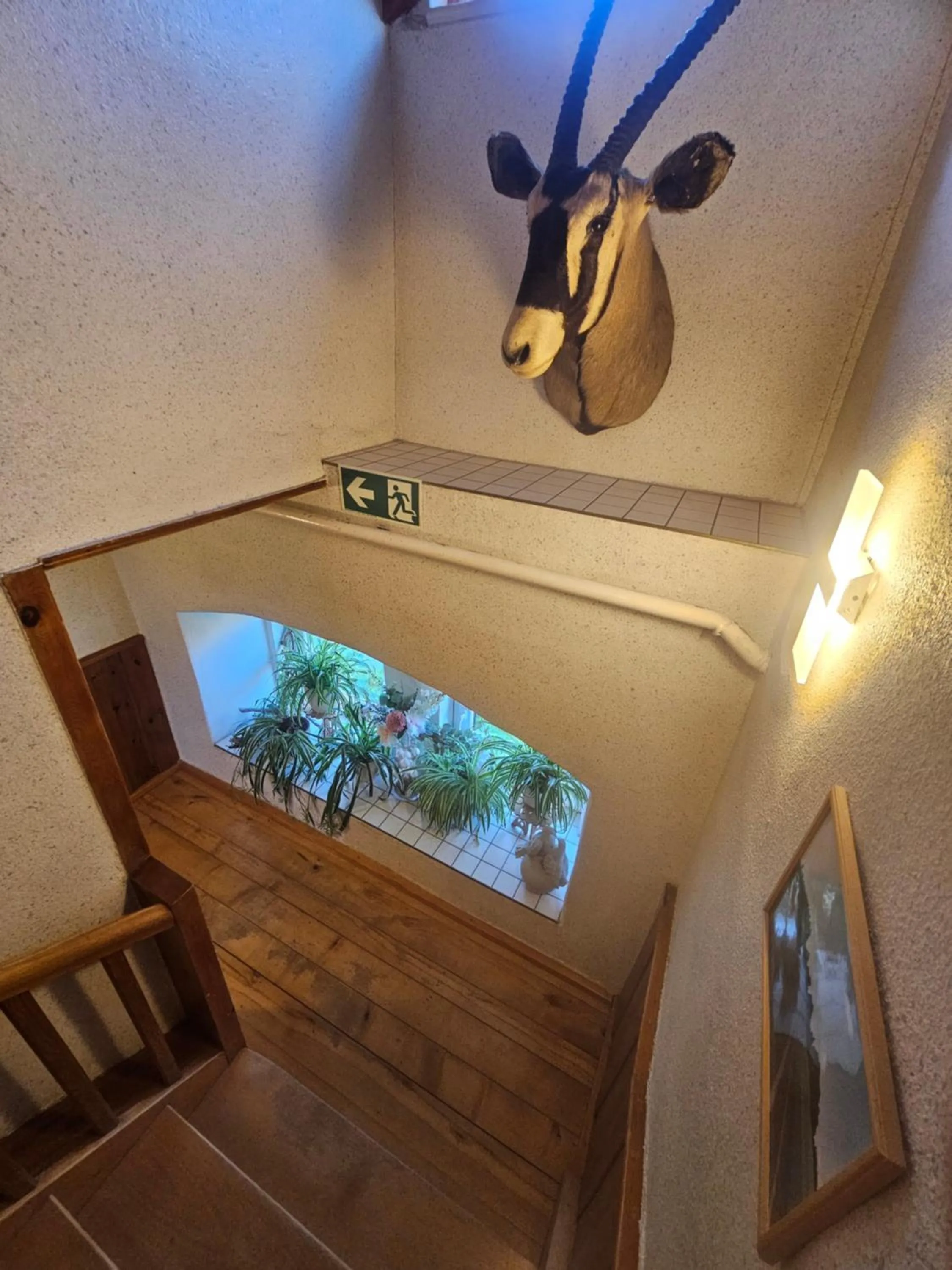 Facade/entrance in Zum Roten Hirsch im Grünen Wald