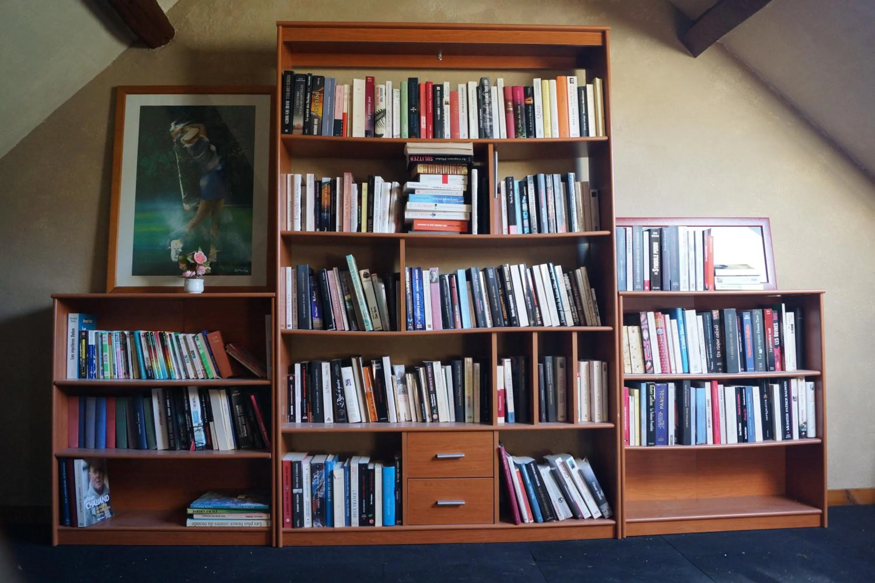 Library in Hotel du Golf de Clécy
