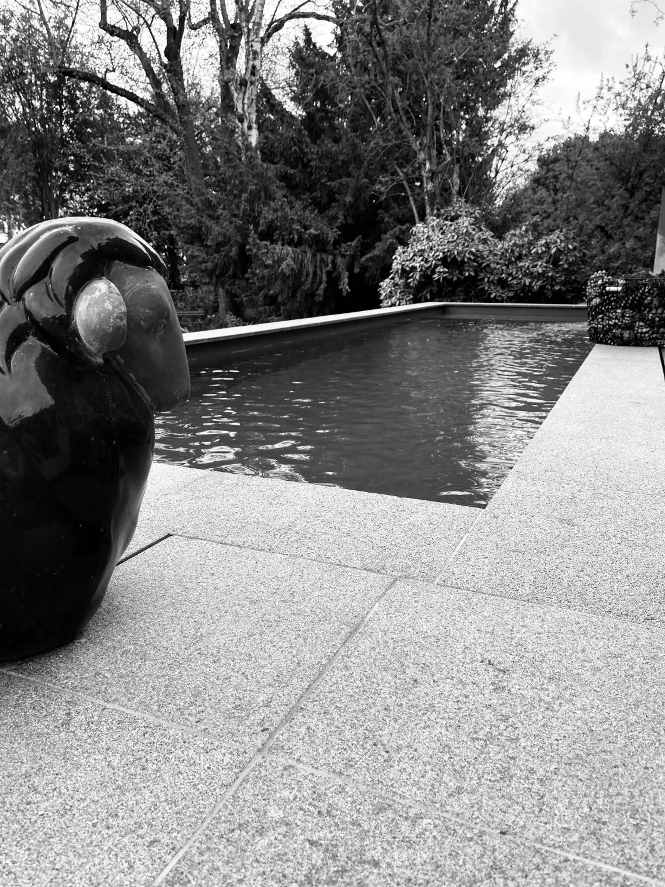 Swimming pool in La Villa 1901