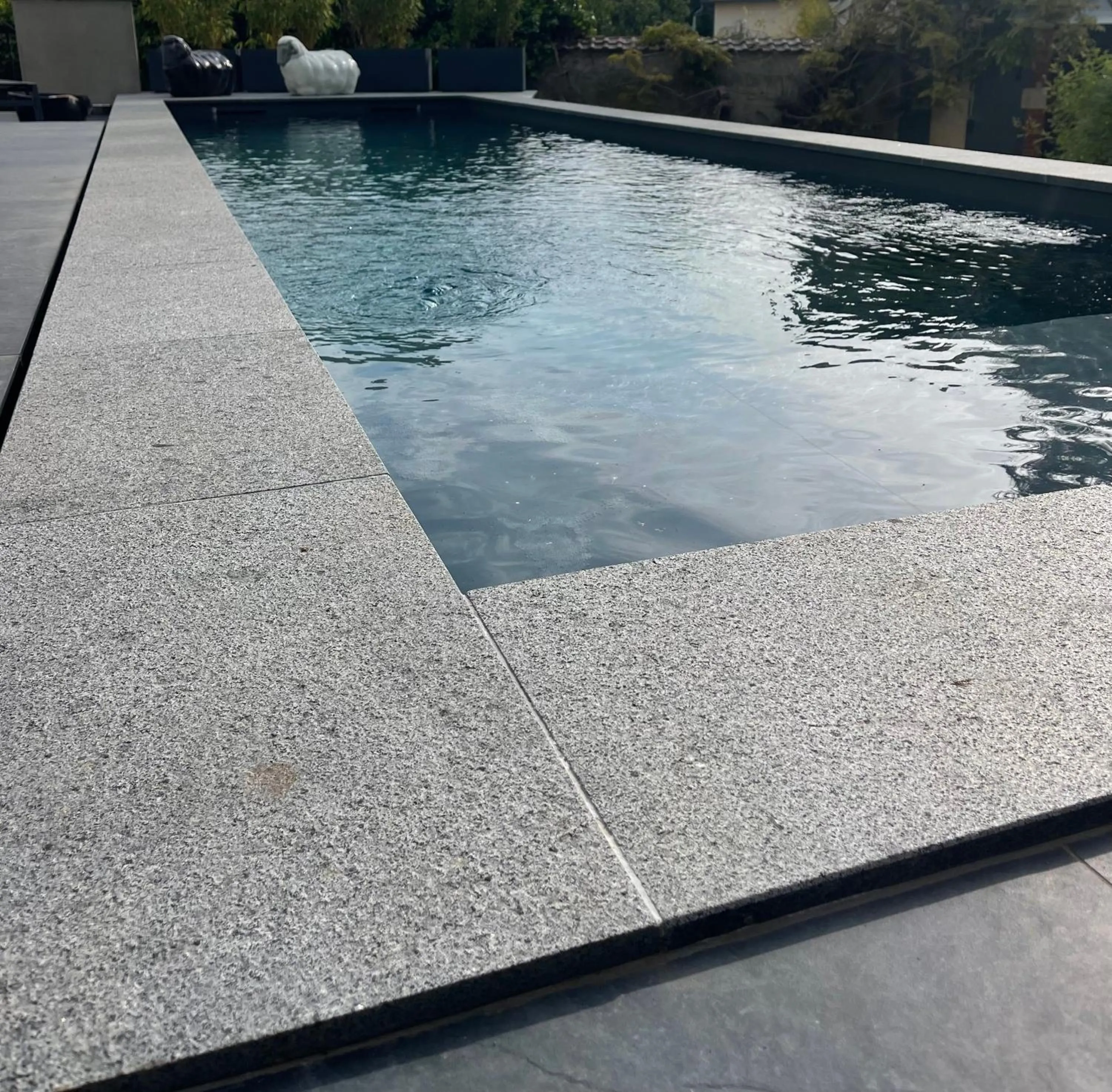 Swimming pool in La Villa 1901