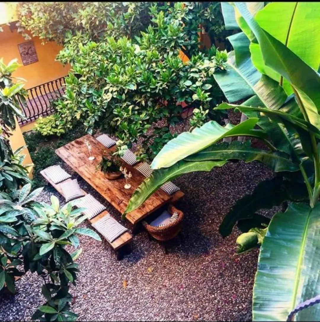 Garden view in Han Boutique Hotel