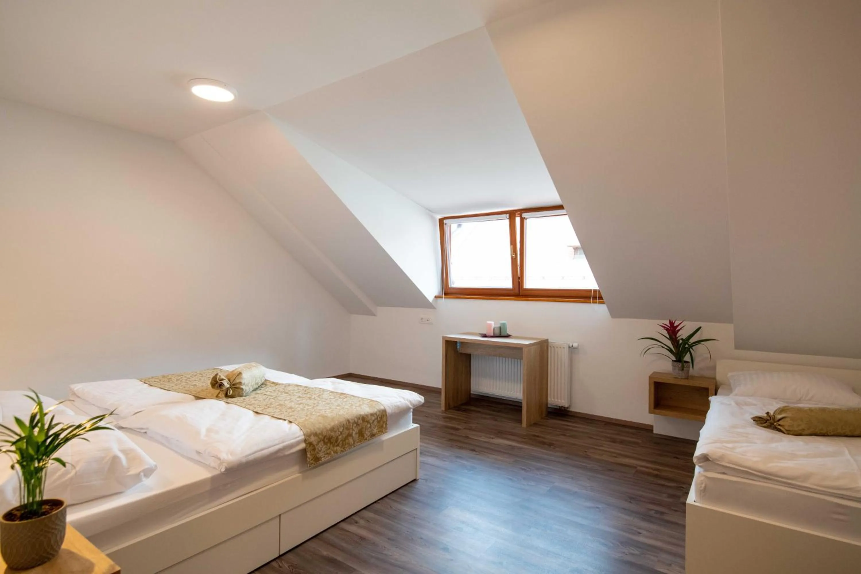 Bed in Guesthouse Stari Mayr