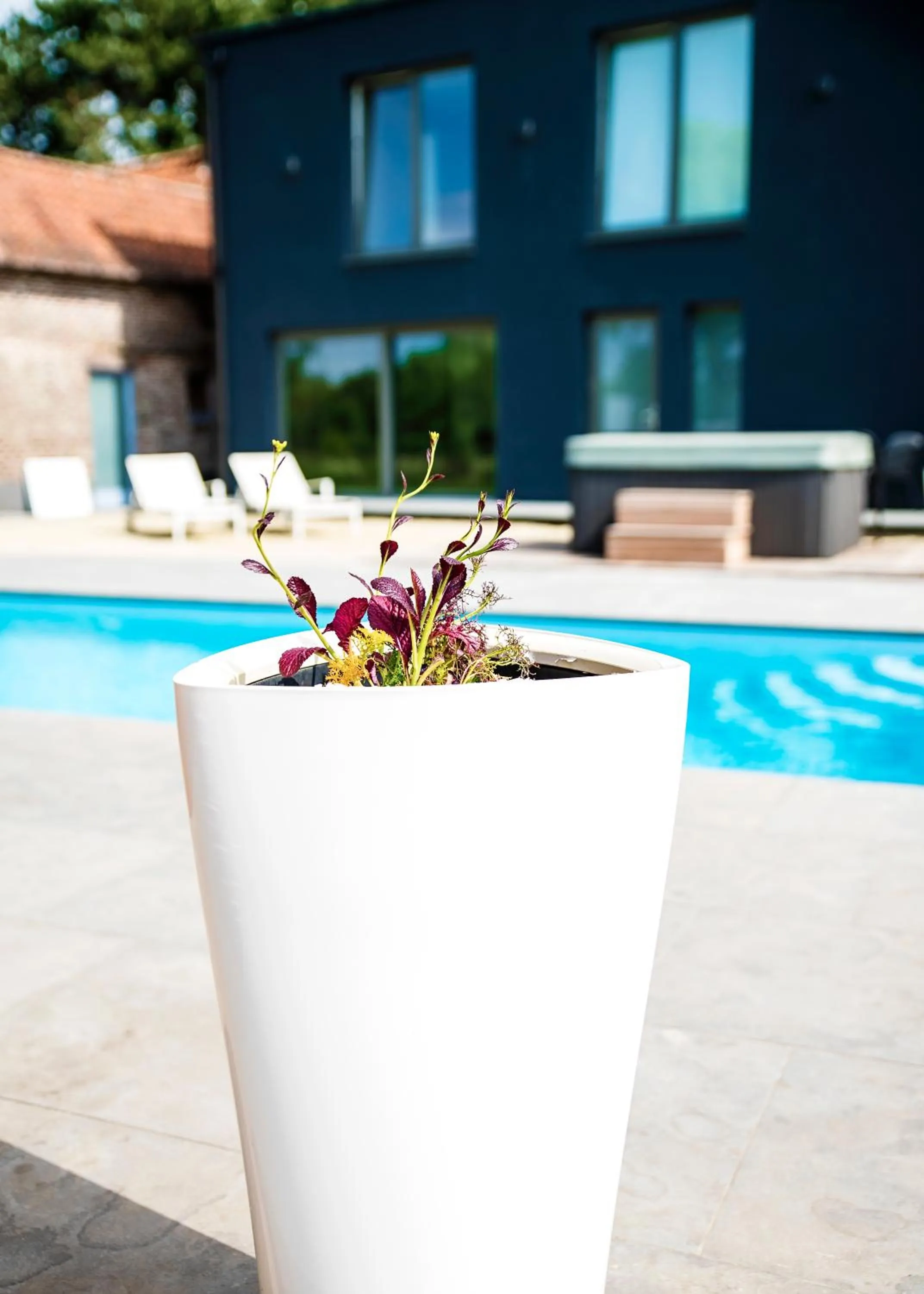Balcony/Terrace in akemi b&b
