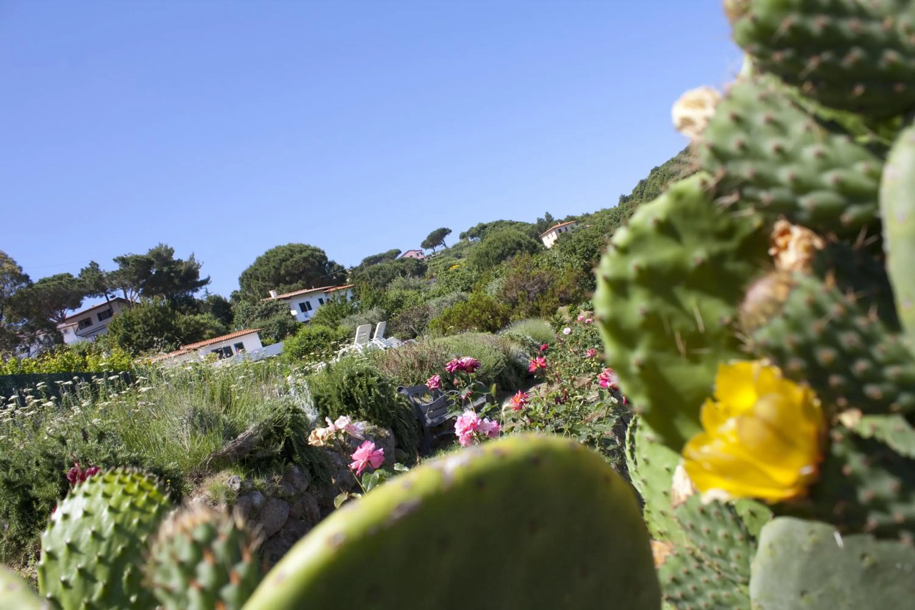 Day in Hotel Gallo Nero