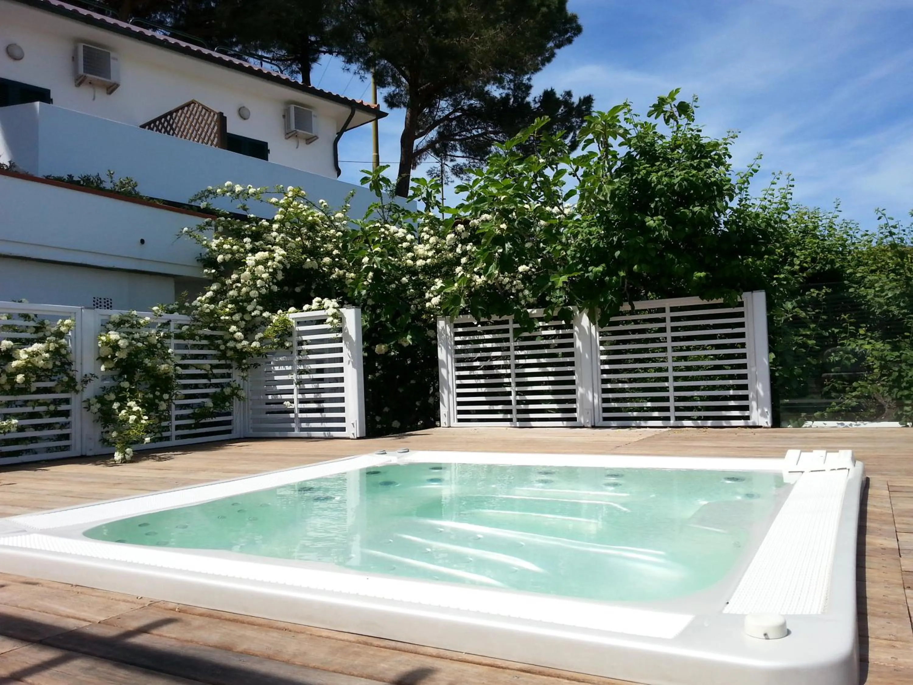 Swimming pool in Hotel Gallo Nero