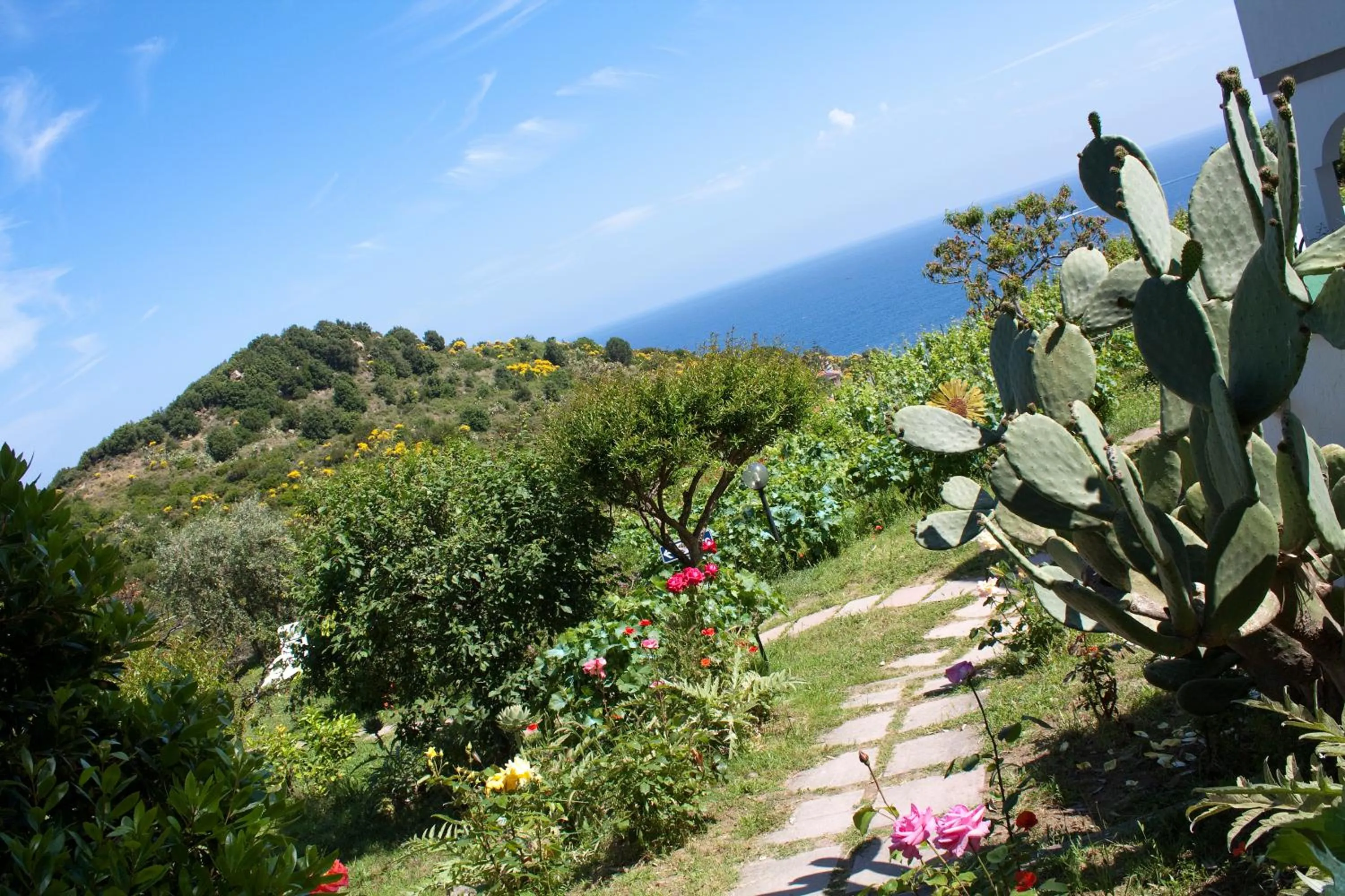 Garden in Hotel Gallo Nero