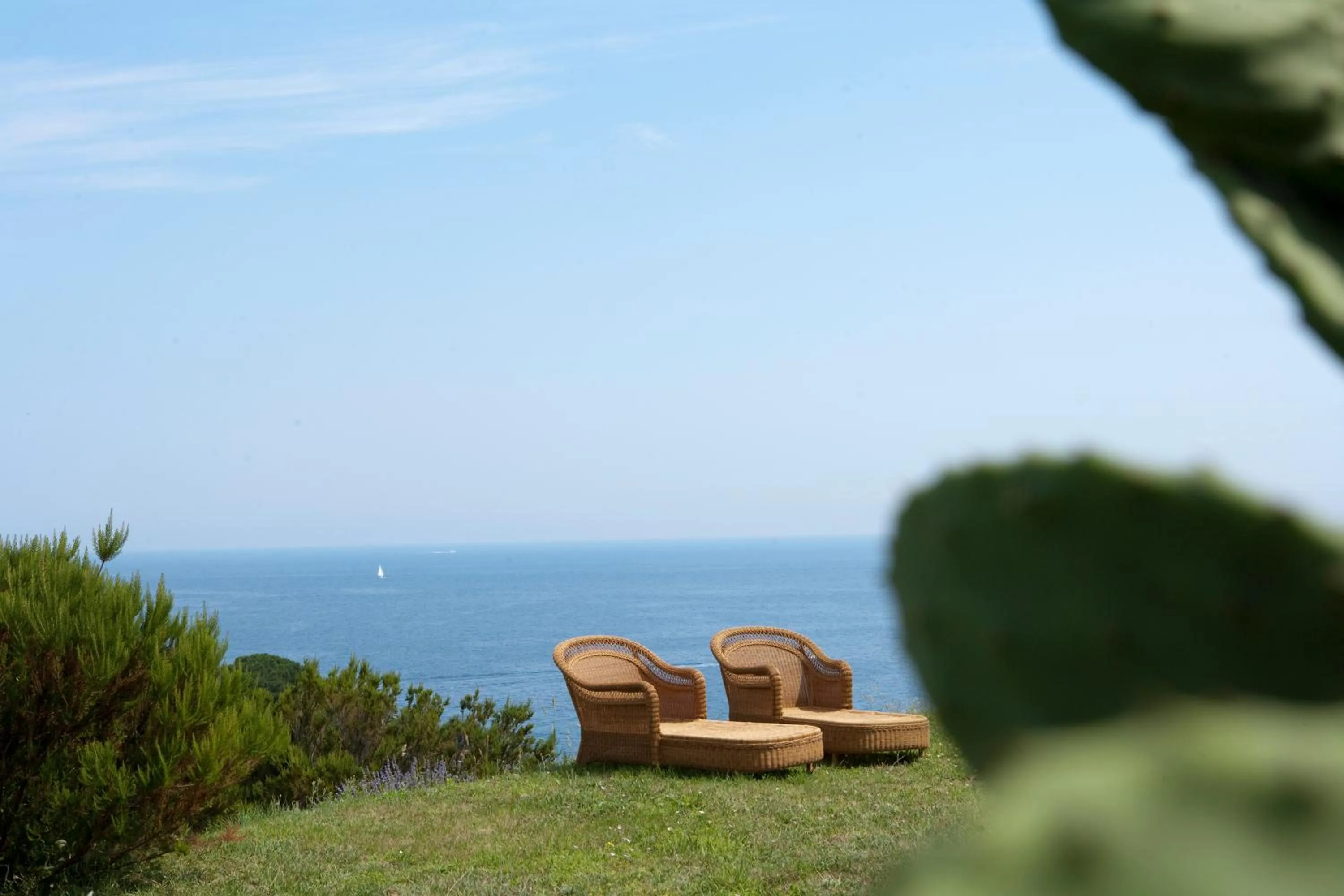 Garden in Hotel Gallo Nero