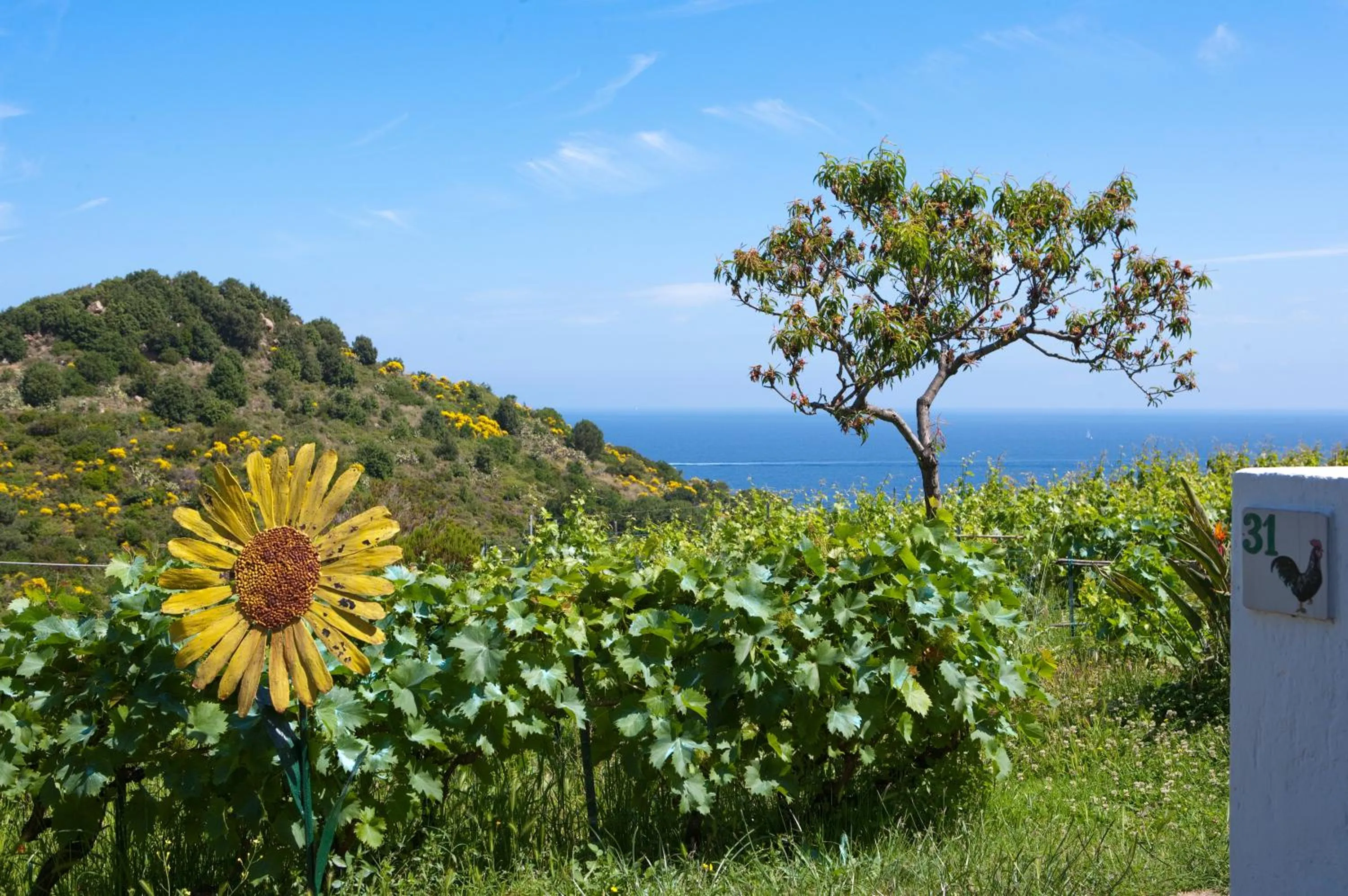 Garden in Hotel Gallo Nero