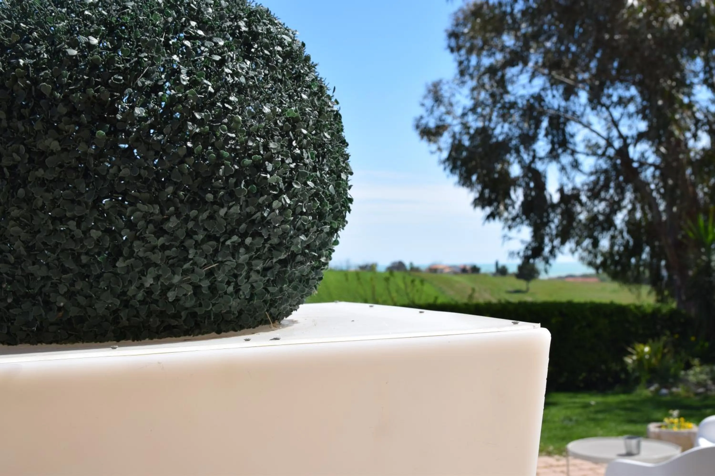 View (from property/room) in Hotel La Siesta