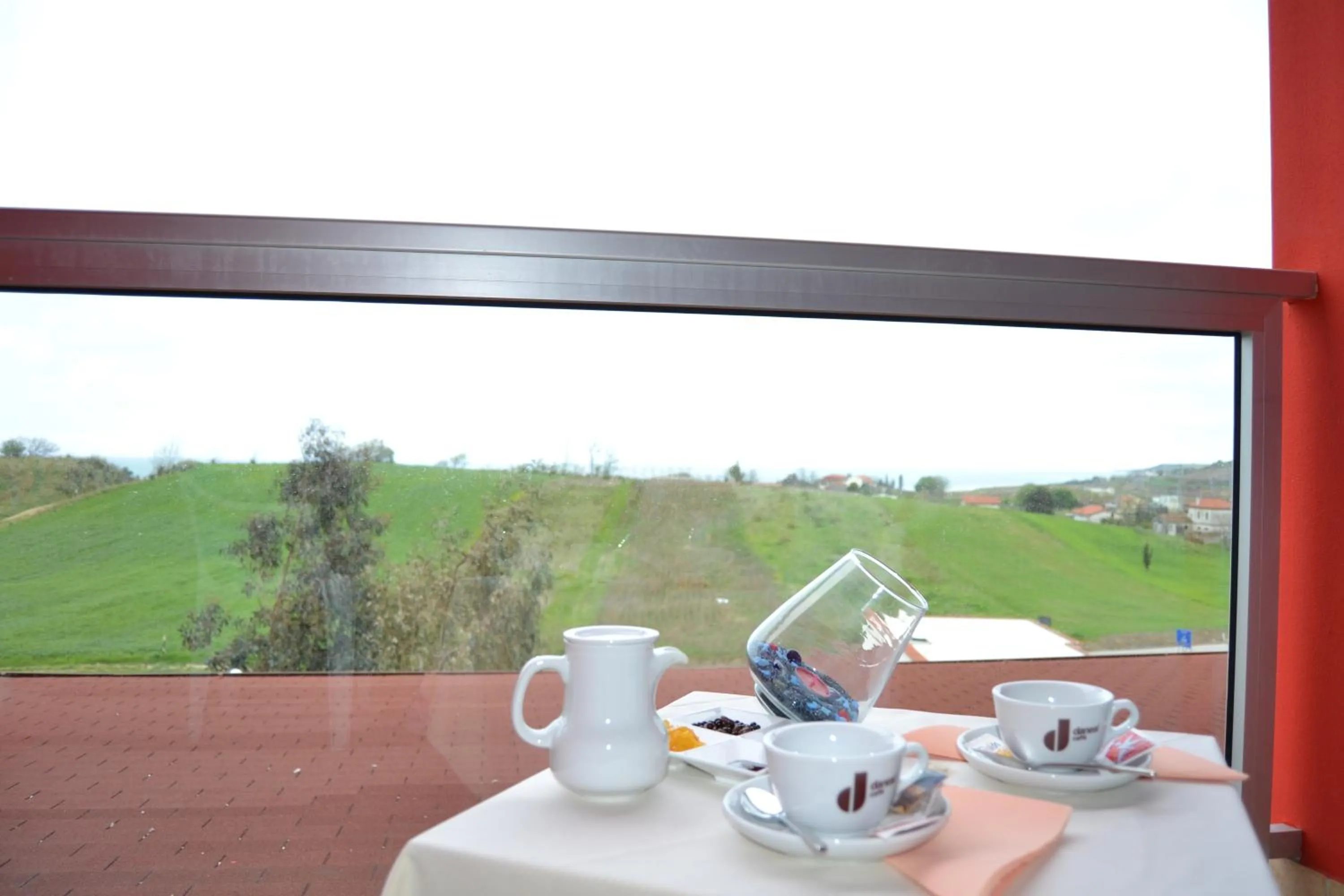 Activities in Hotel La Siesta