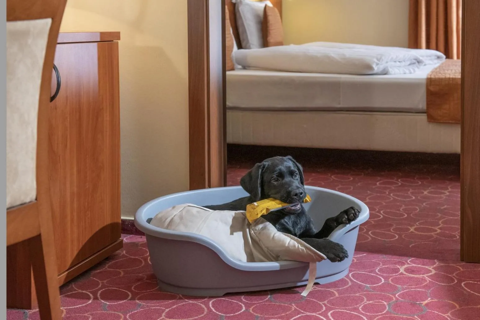 pet friendly, Bed in Patak Park Hotel Visegrád