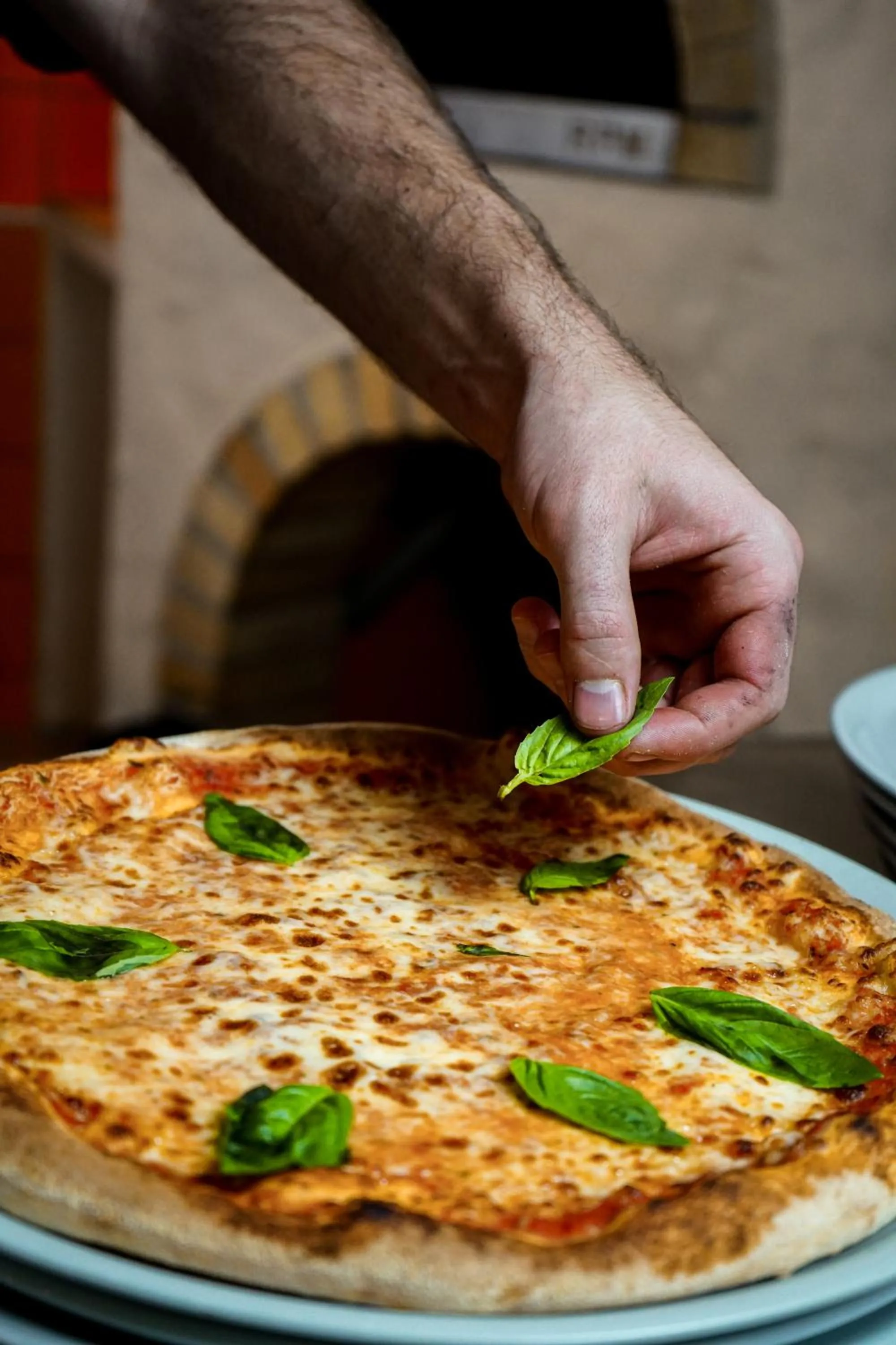 Food and drinks in Hotel SLUNEČNÁ LOUKA