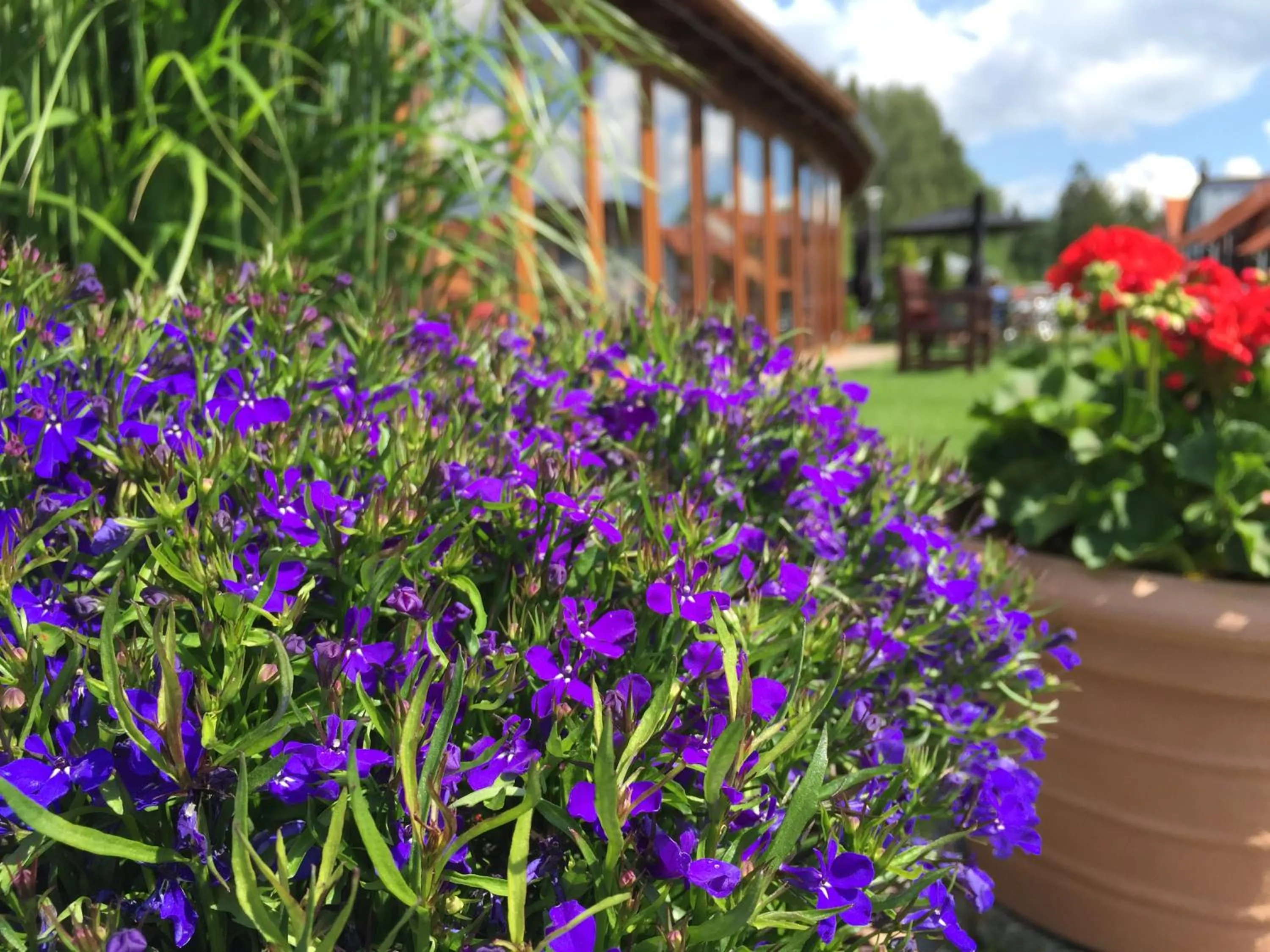 Garden in Hotel SLUNEČNÁ LOUKA