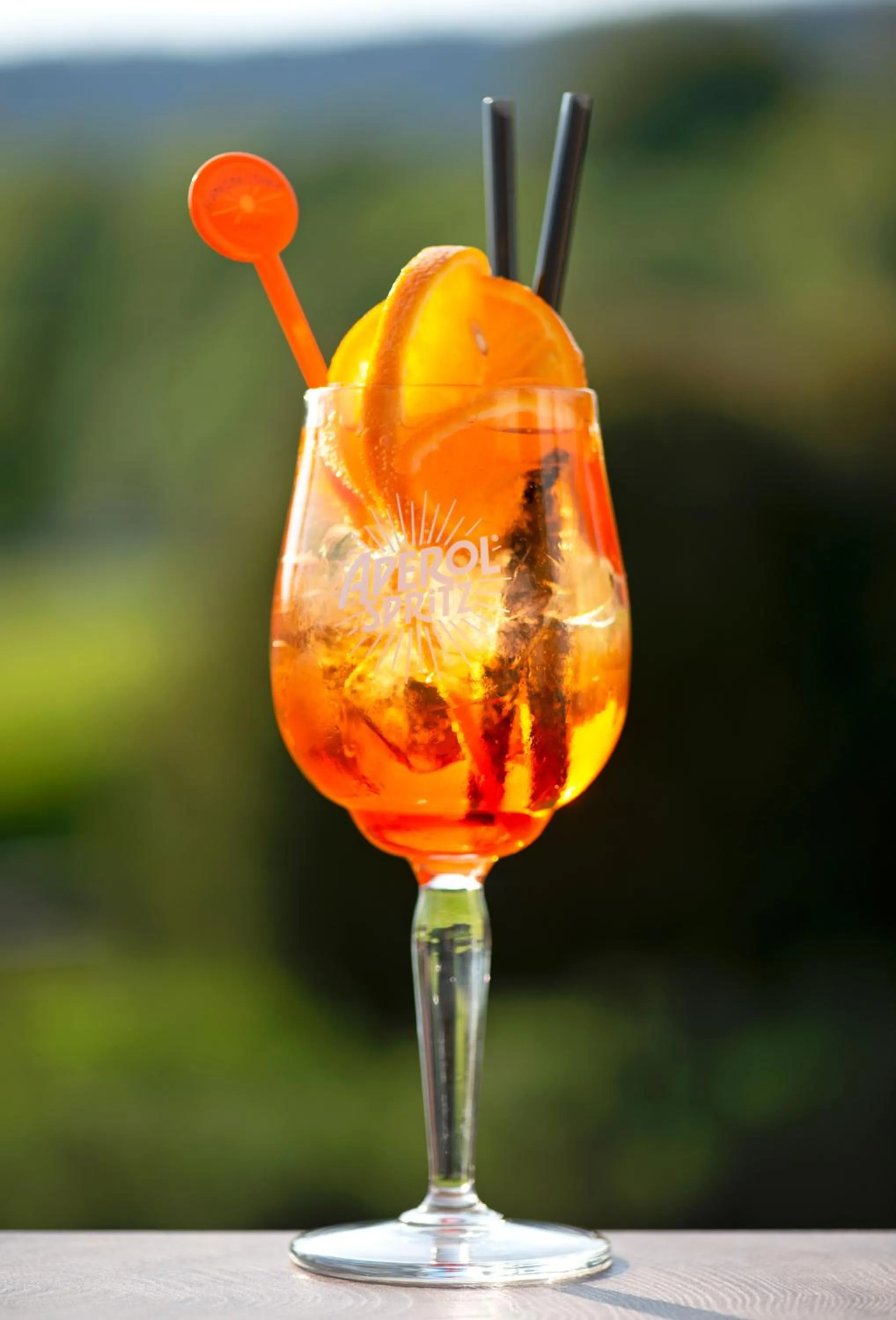 Restaurant/places to eat in Hotel SLUNEČNÁ LOUKA