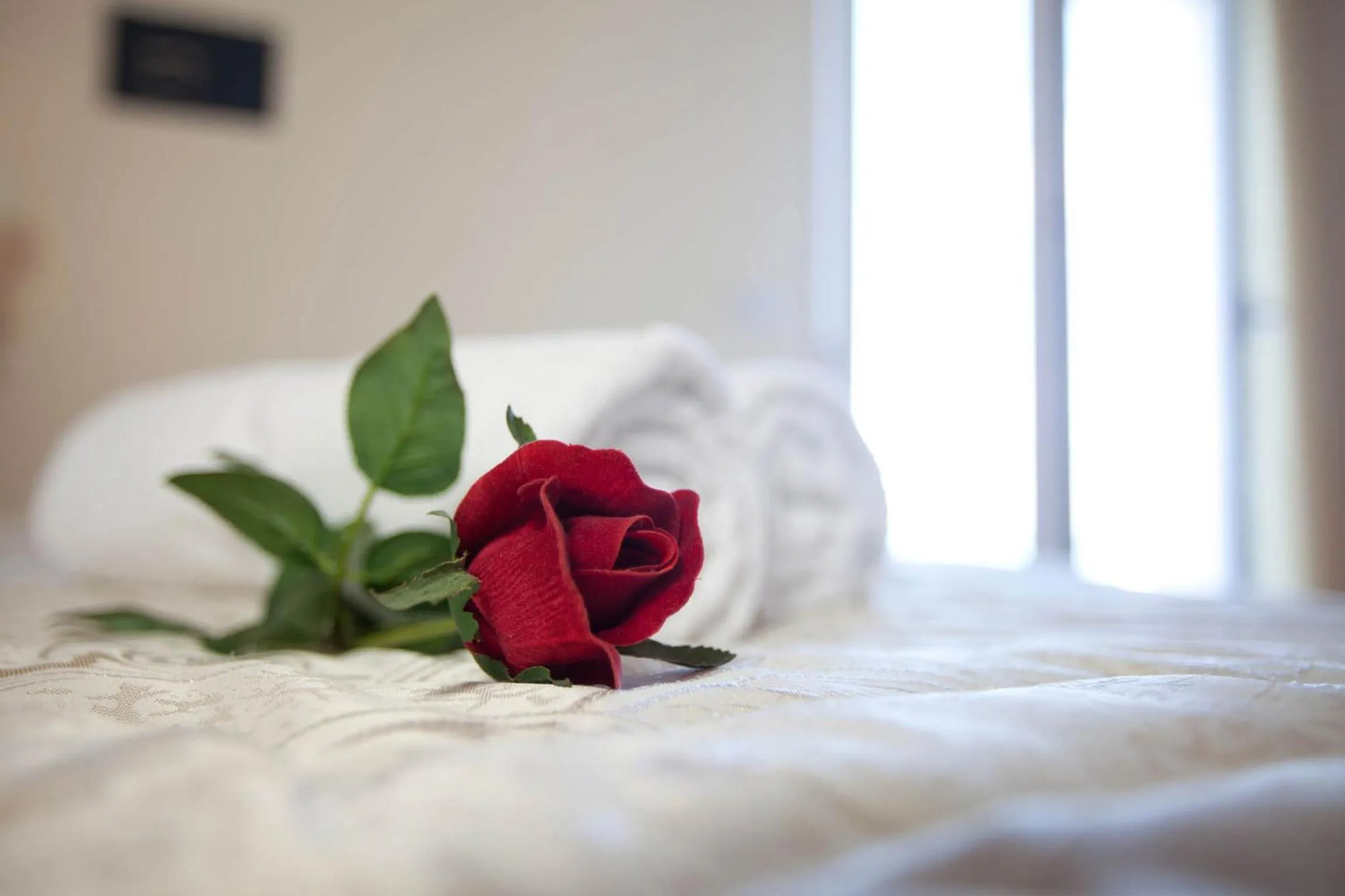 Bed in Hotel Ambassador